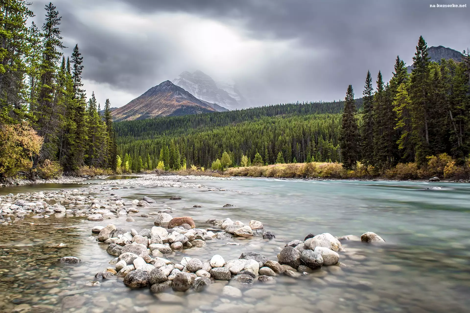 Kanada, Drzewa, Kamienie, Prowincja Alberta, Park Narodowy Banff, Rzeka, Góry