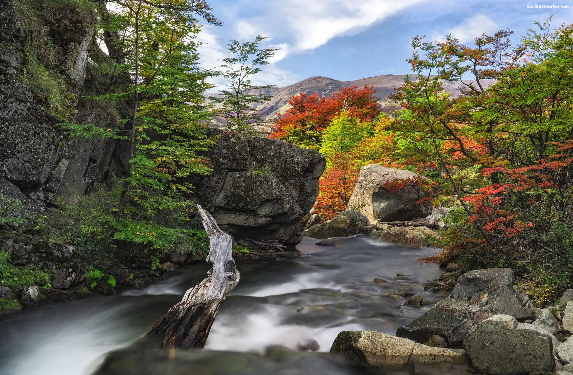 Chile, Skały, Drzewa, Patagonia, Cascada del Rio Paine, Rzeka, Góry