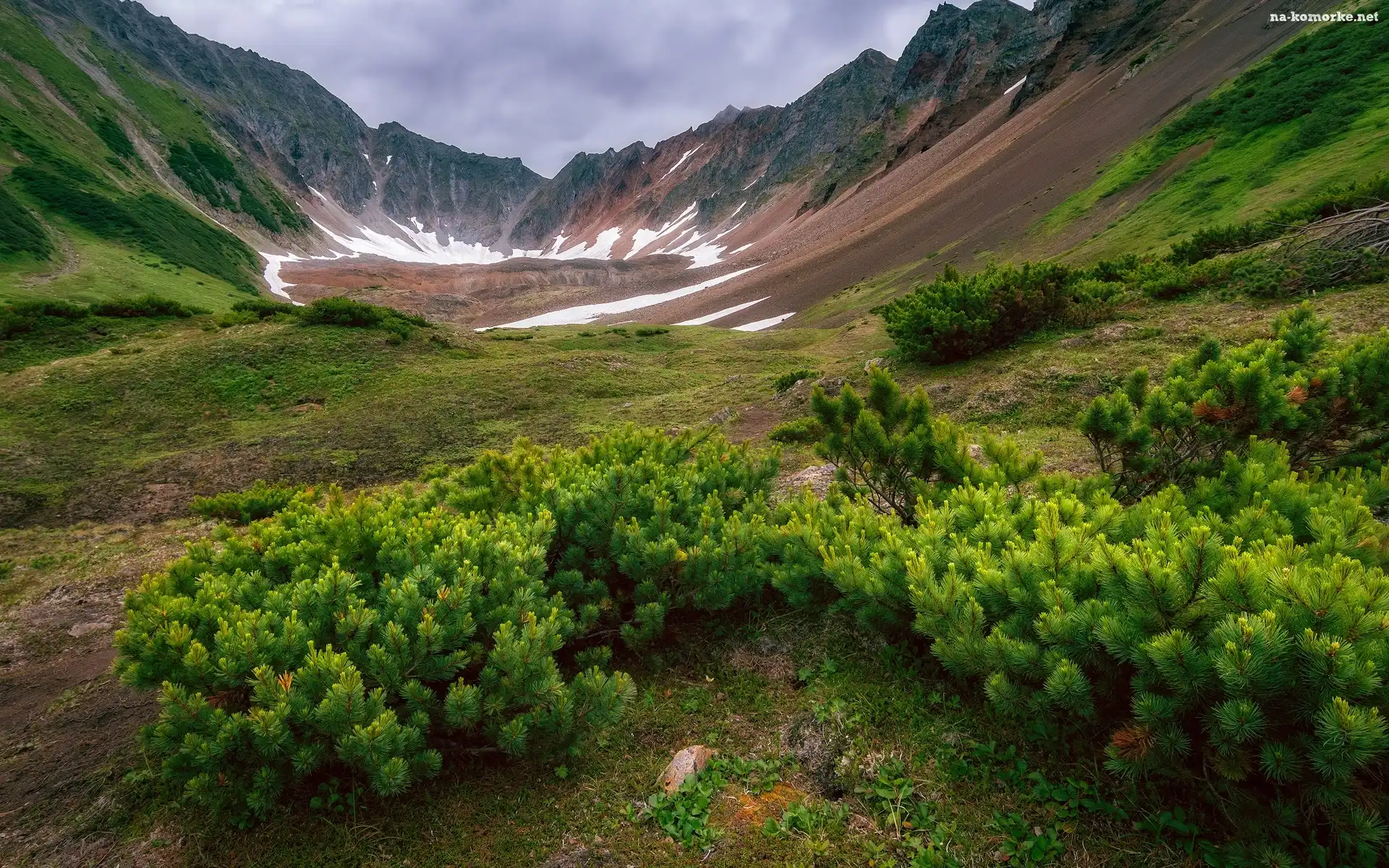 Góry, Iglaki, Dolina, Krzewy