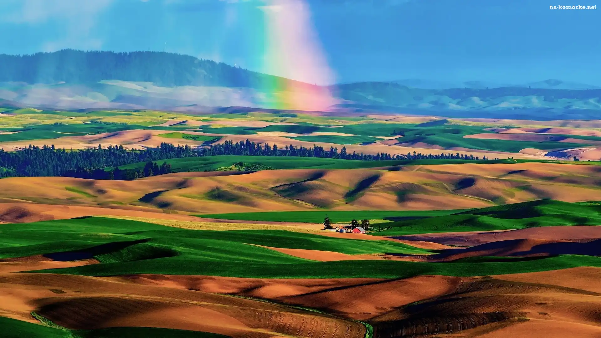 Palouse, Góry, Doliny, Drzewa, Tęcza