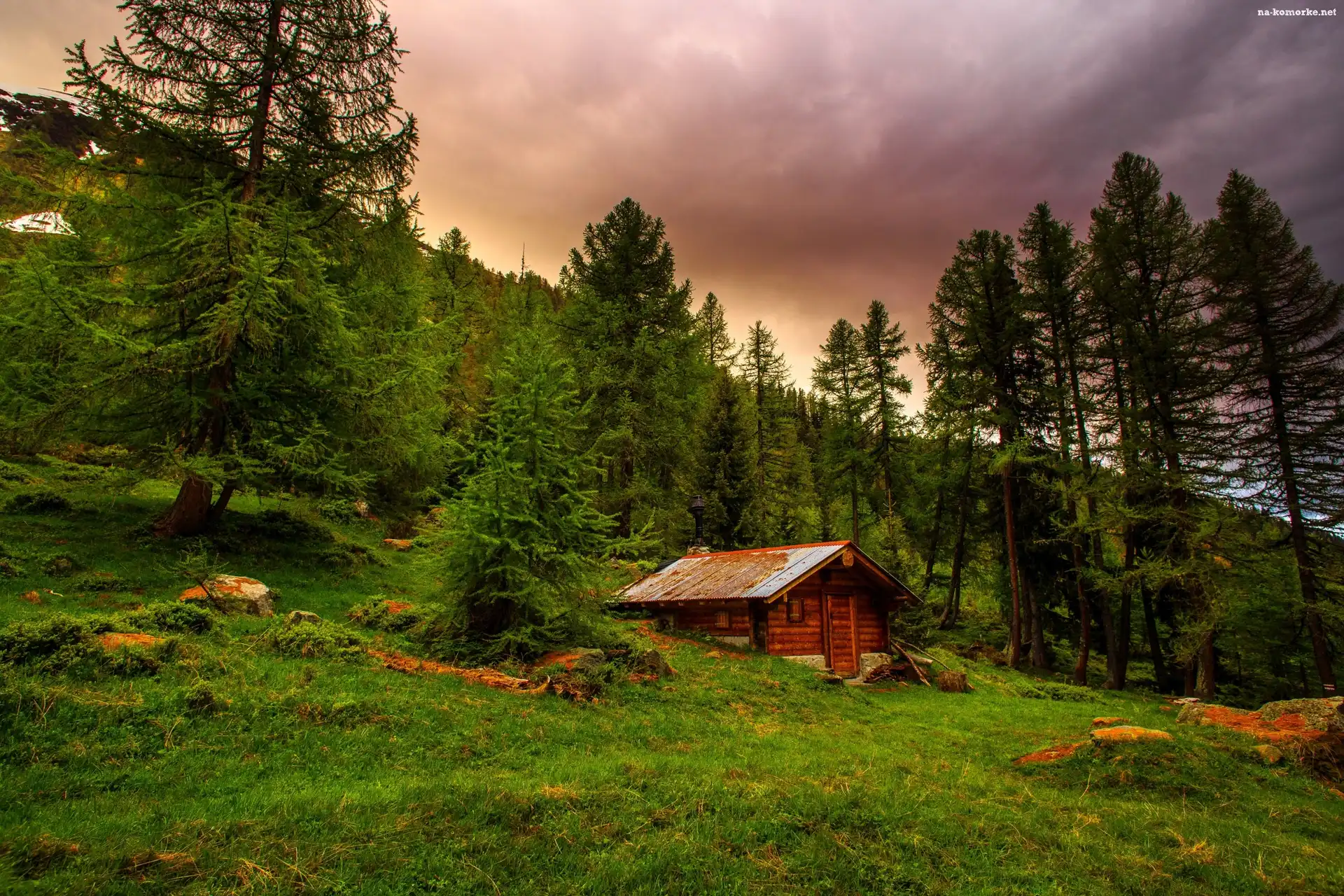 Domek, Góry, Szwajcaria