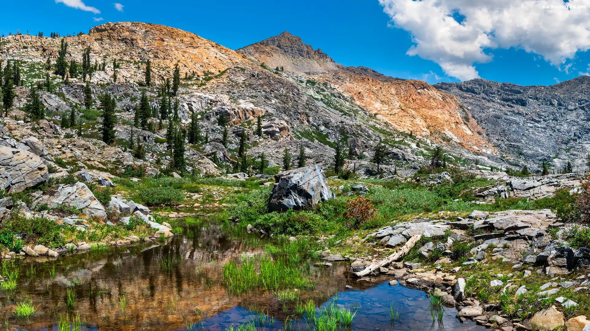 Staw, Kalifornia, Kamienie, Góry, South Lake Tahoe, Stany Zjednoczone, Drzewa, Sierra Nevada Mountains