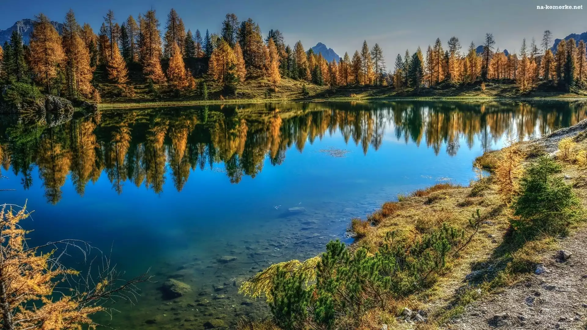 Góry, Modrzewie, Drzewa, Jezioro, Żółte, Włochy, Jesień, Lago Federa