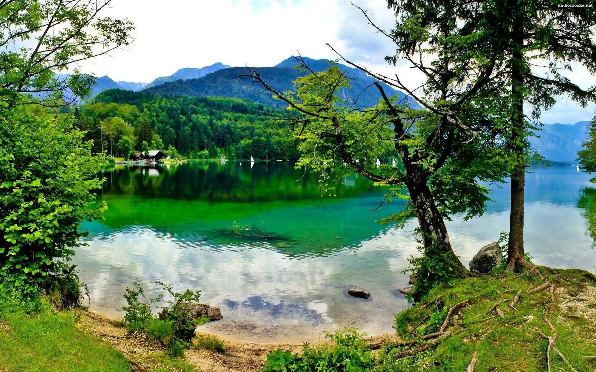Góry, Drzewa, Jezioro, Brzeg