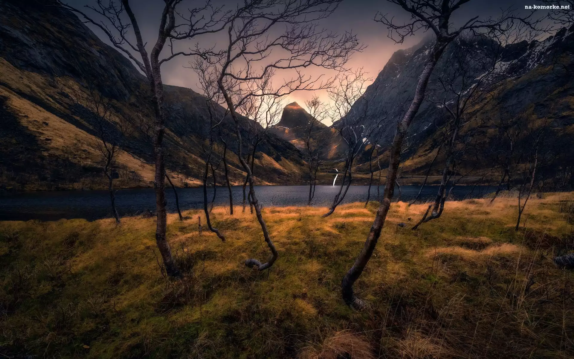 Norwegia, Góry, Jezioro, Senja, Drzewa