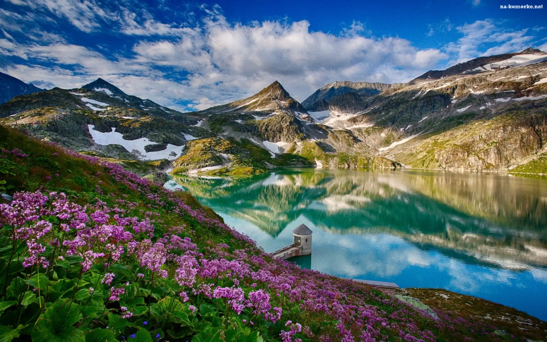 Jezioro, Różowe, Austria, Kwiaty, Góry, Alpy, Weisssee