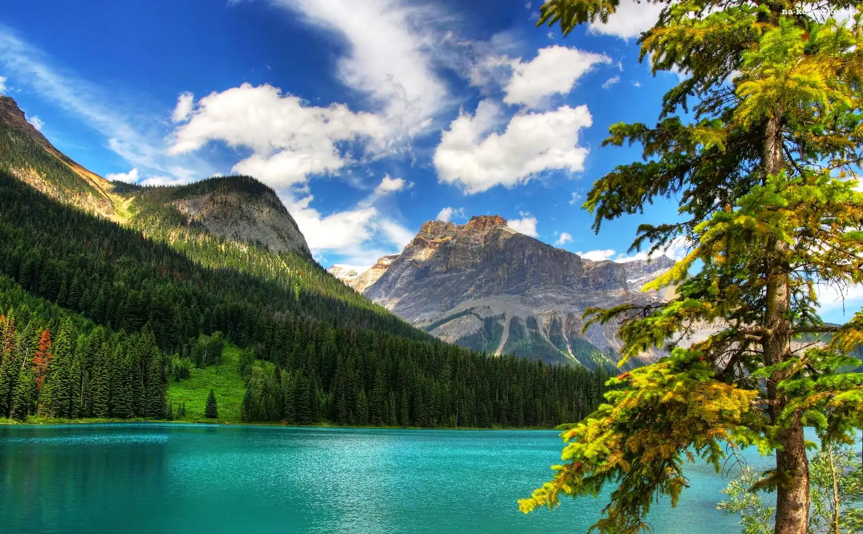 Kanada, Góry, Lasy, Jezioro, Park Narodowy Banff