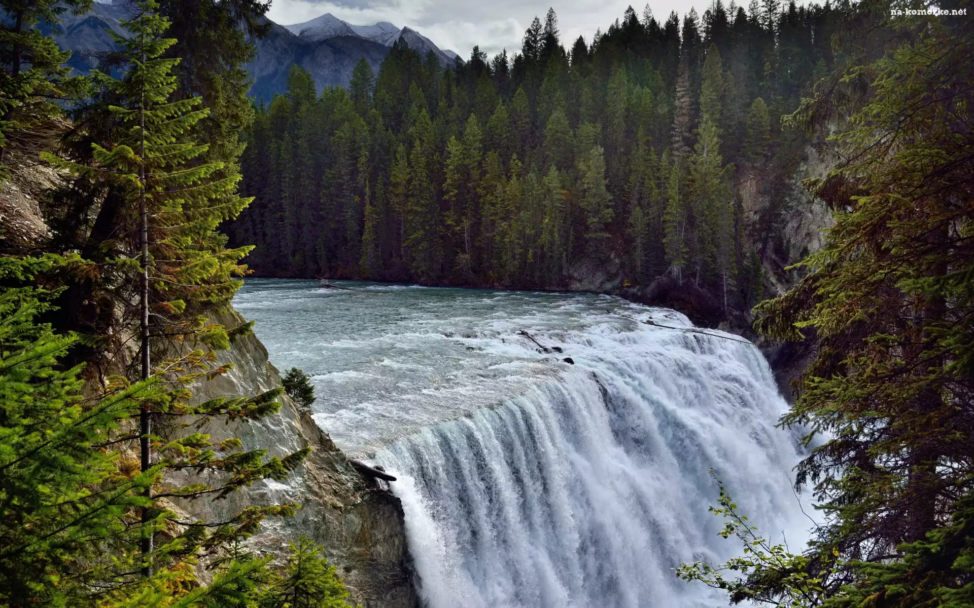 Góry, Prowincja Kolumbia Brytyjska, Rzeka Kicking Horse, Kanada, Wodospad Wapta Falls, Park Narodowy Yoho, Las, Drzewa