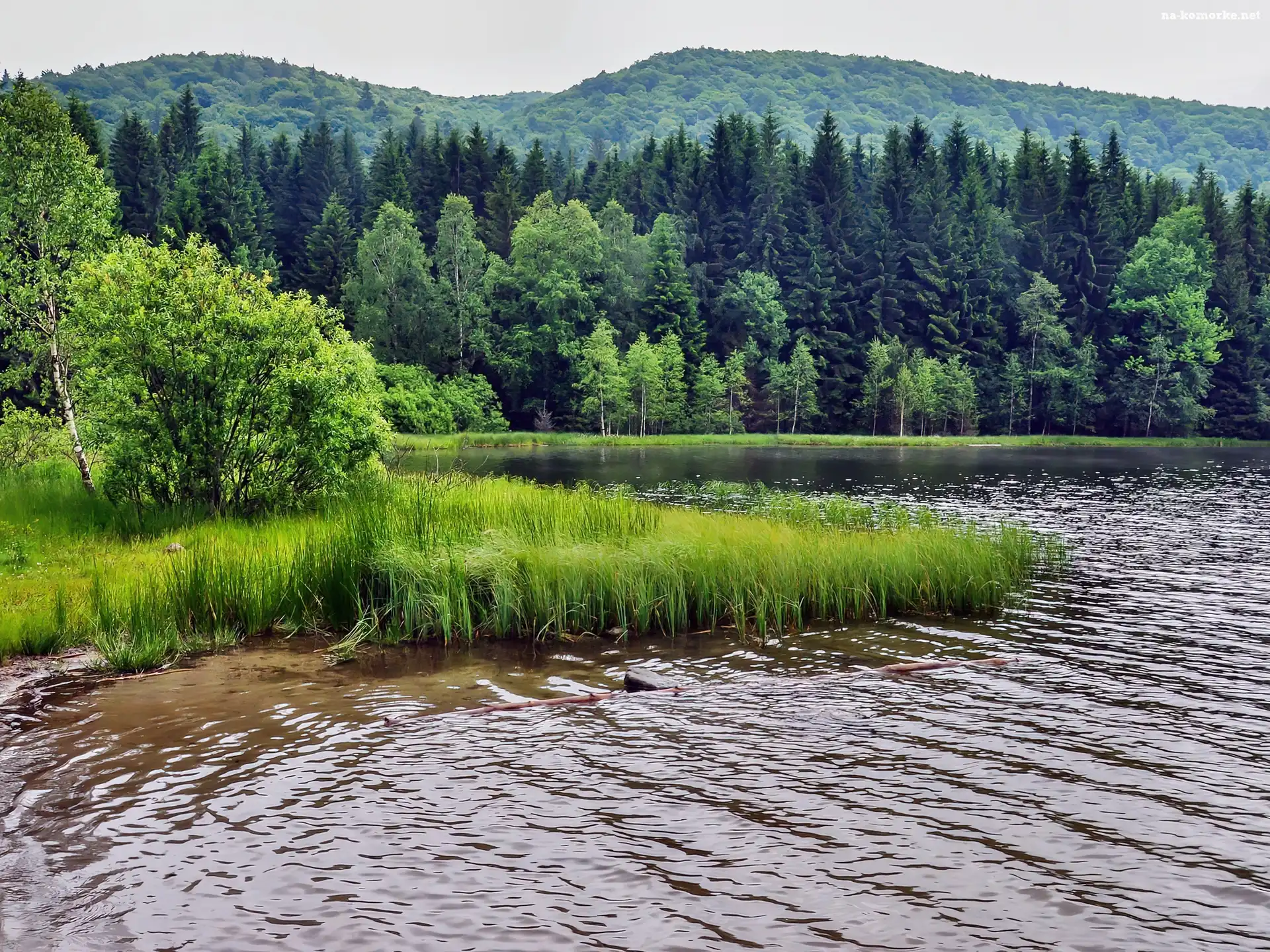Góry, Szuwary, Las, Jezior