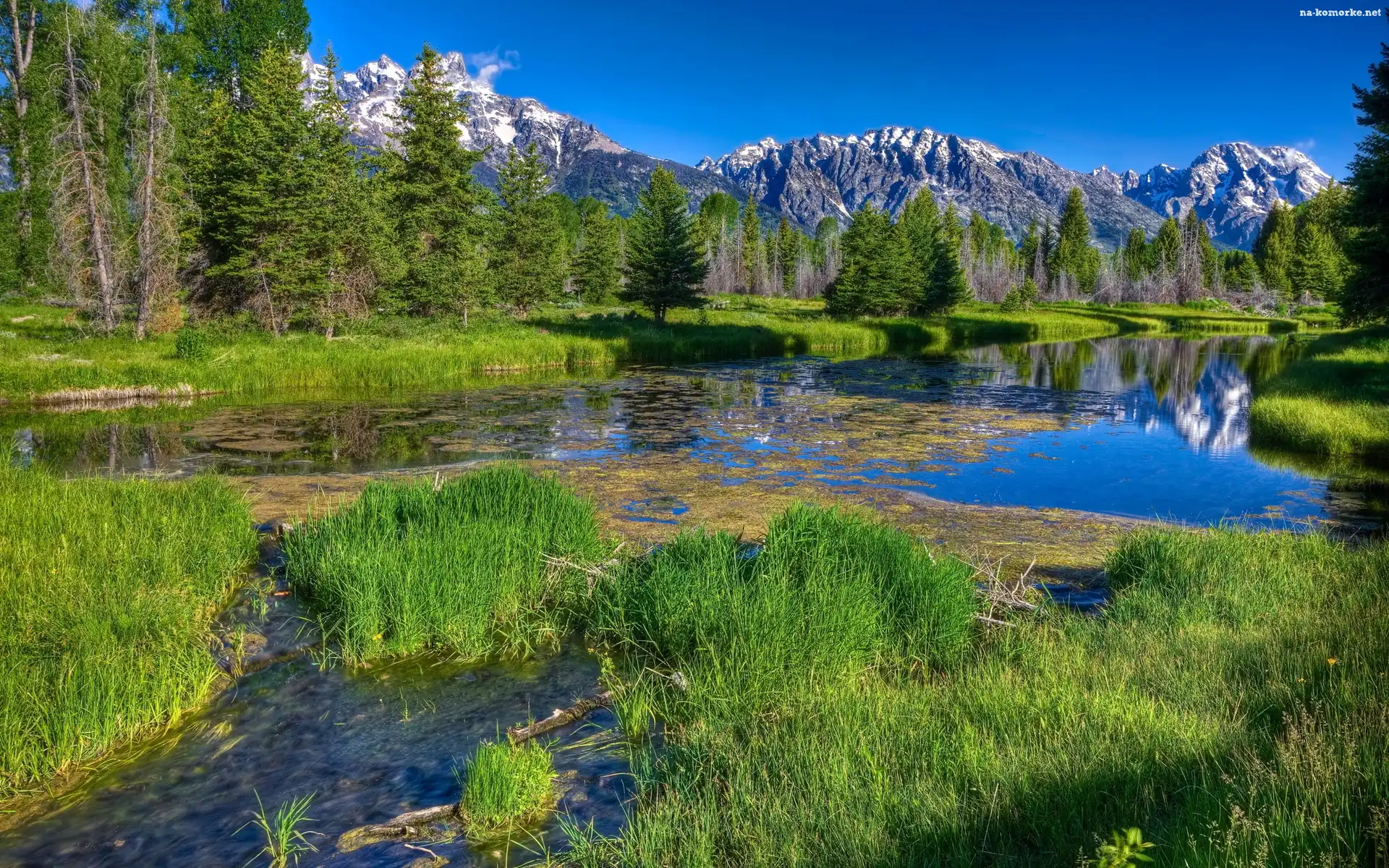 Góry, Szuwary, Las, Jezioro