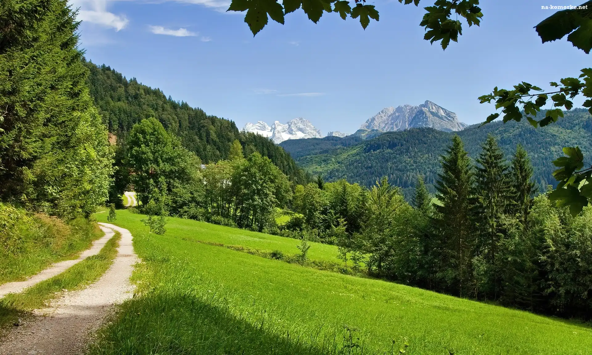 Góry, Zbocze, Las, Ścieżka
