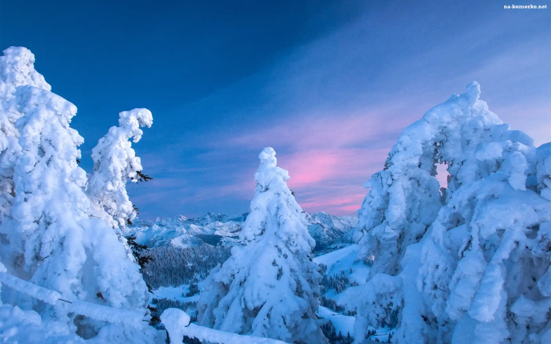 Góry, Zima, Las, Śnieg