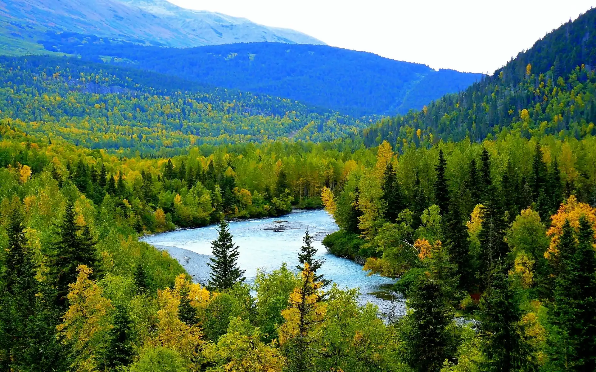 Góry, Alaska, Lasy, Rzeka