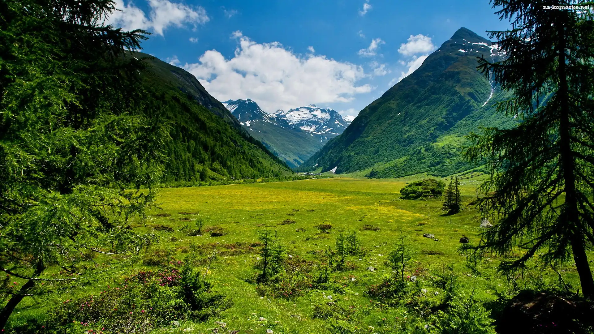 Góry, Austria, Lasy, Tyrol