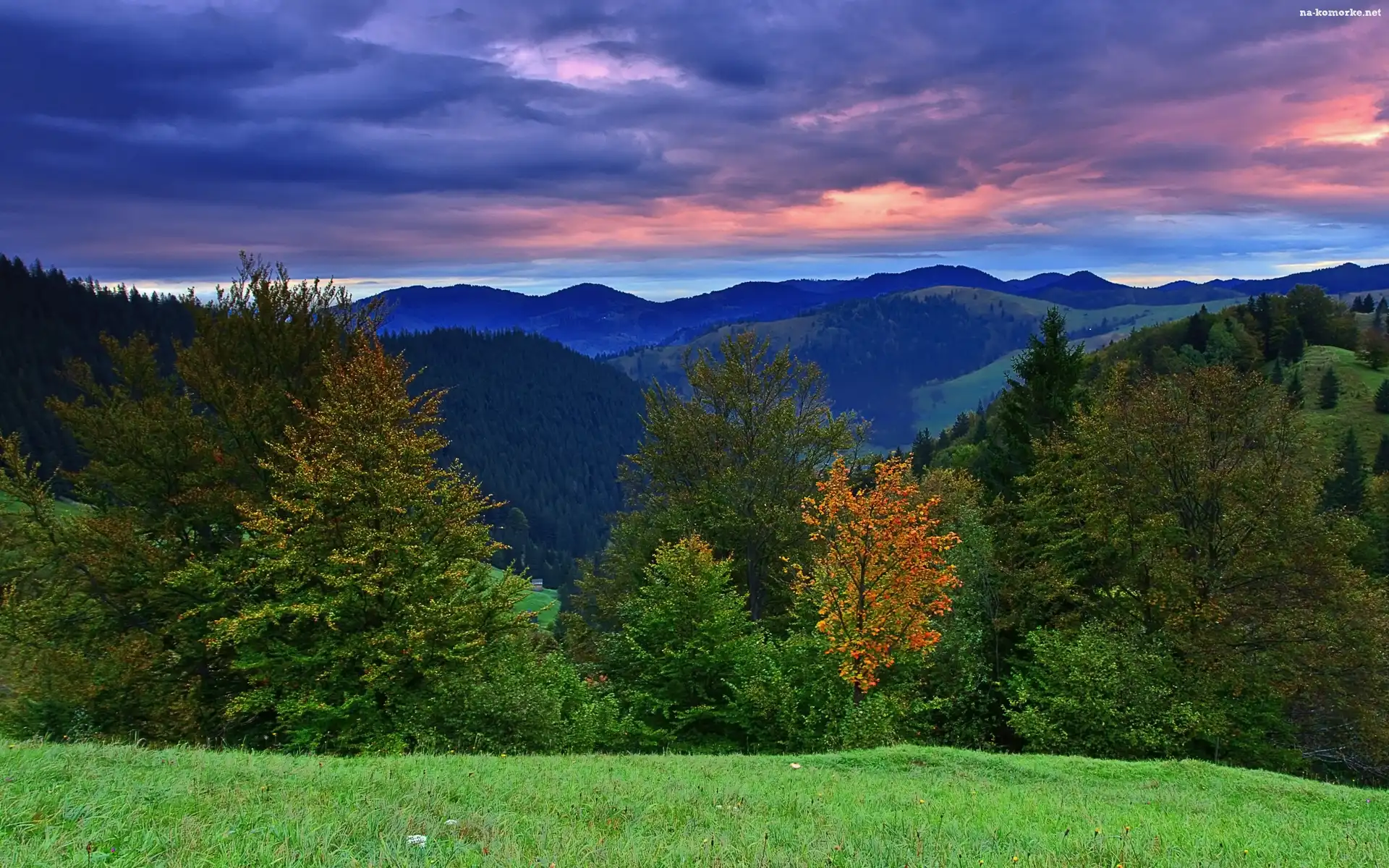 Góry, Chmury, Lasy, Łąka