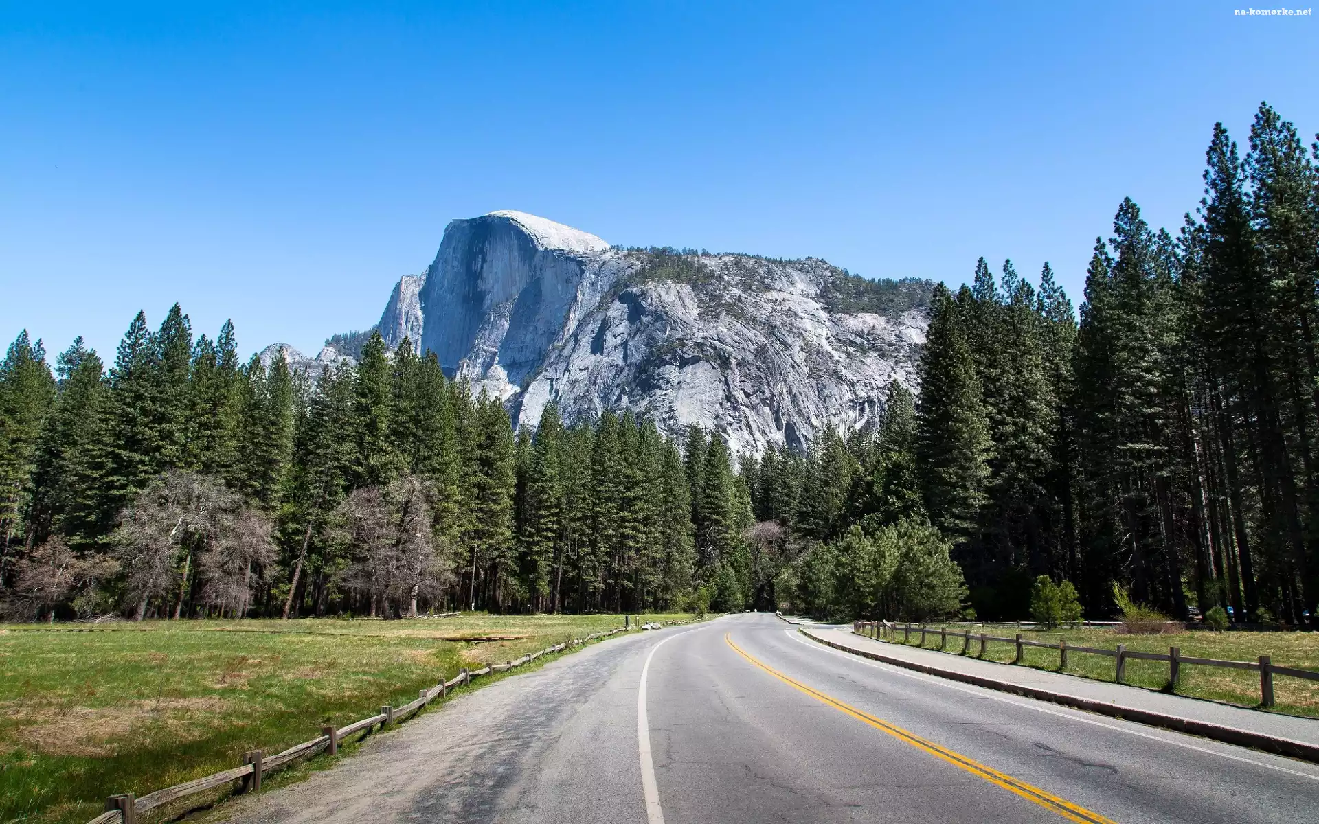 Góry, Park Narodowy Yosemite, Lasy, Droga