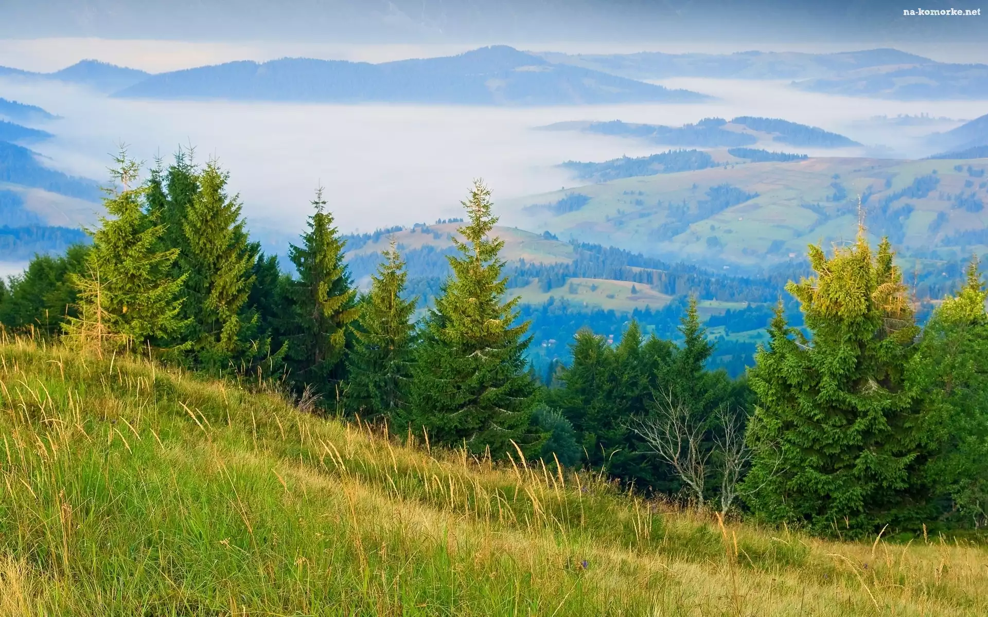 Góry, Panorama, Lasy, Mgła