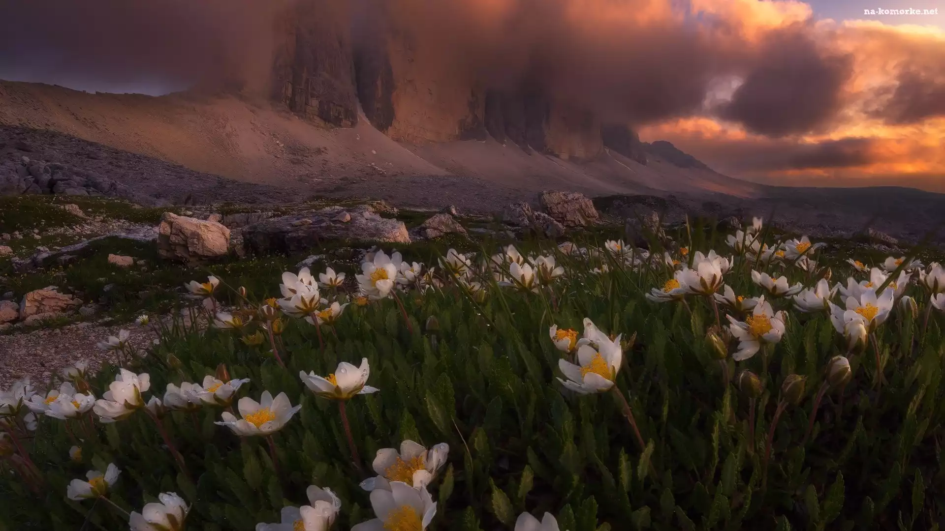 Góry, Włochy, Chmury, Masyw Tre Cime di Lavaredo, Łąka, Dolomity, Kwiaty, Ciemne, Białe