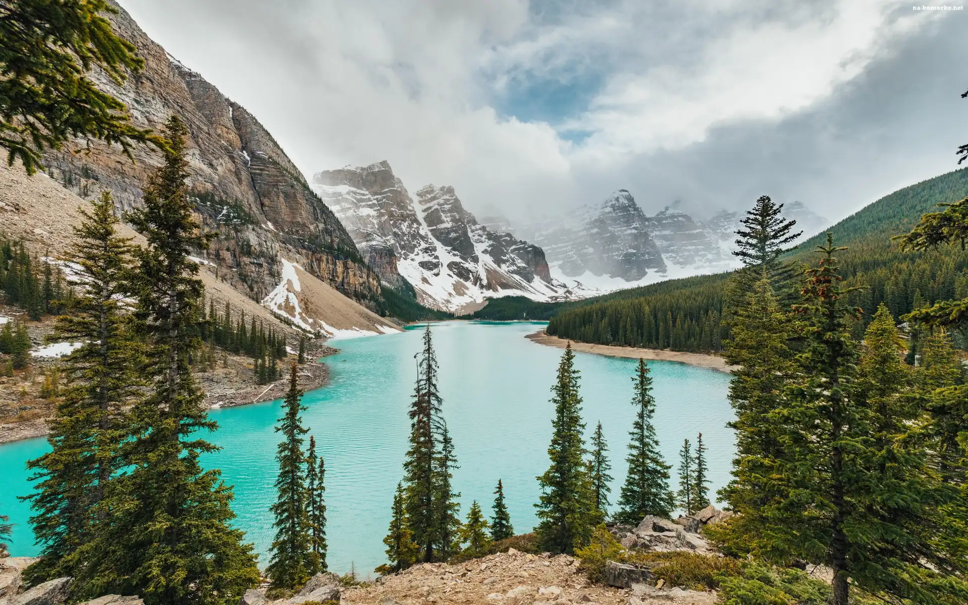 Jezioro, Alberta, Góry, Kanada, Moraine Lake, Lasy, Drzewa, Park Narodowy Banff