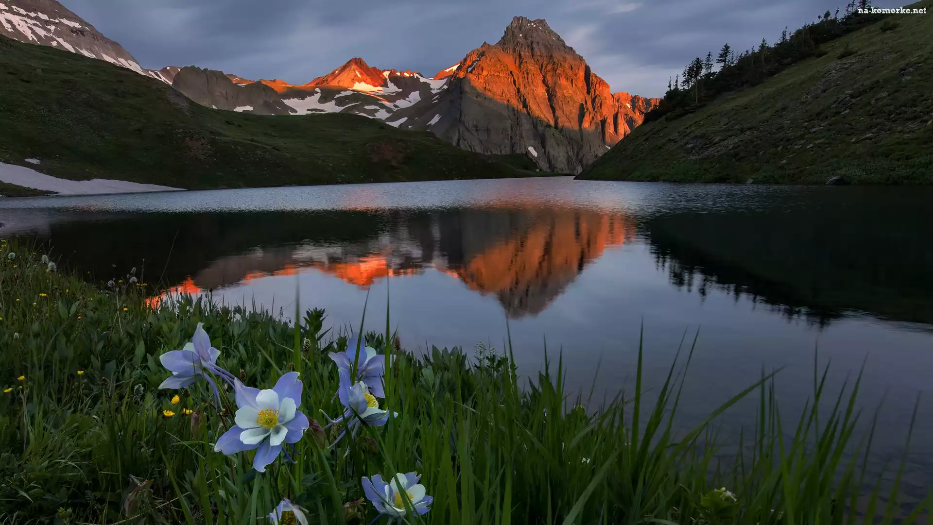 Góry, Jezioro, Stany Zjednoczone, Góra Sneffels, Stan Kolorado, Orlik niebieski, San Juan Mountains, Blue Lake, Łąka, Kwiaty
