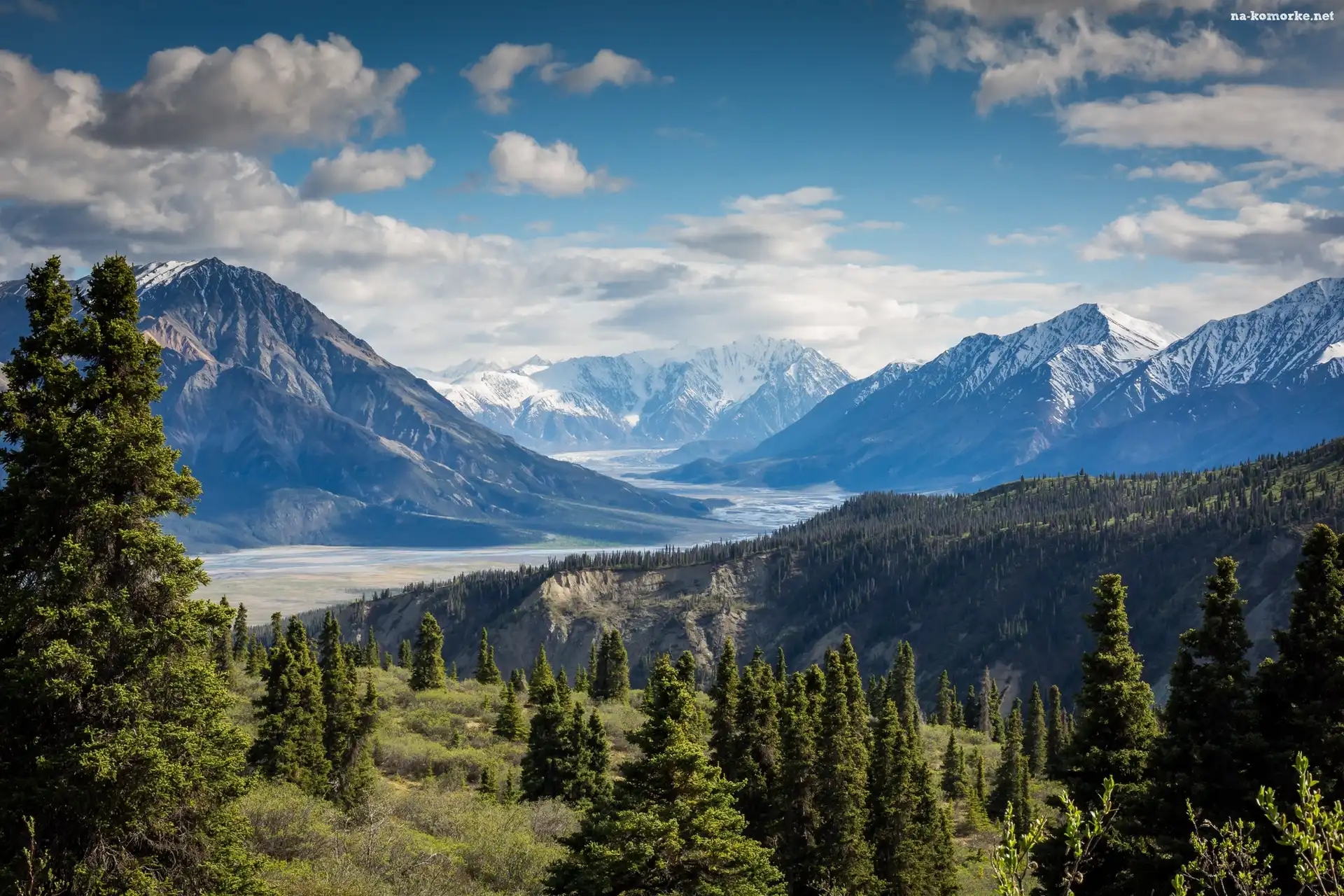 Park Narodowy Kluane, Kanada, Szczyt, Góry, Drzewa, Jukon, Lasy, Masyw, Mount Logan