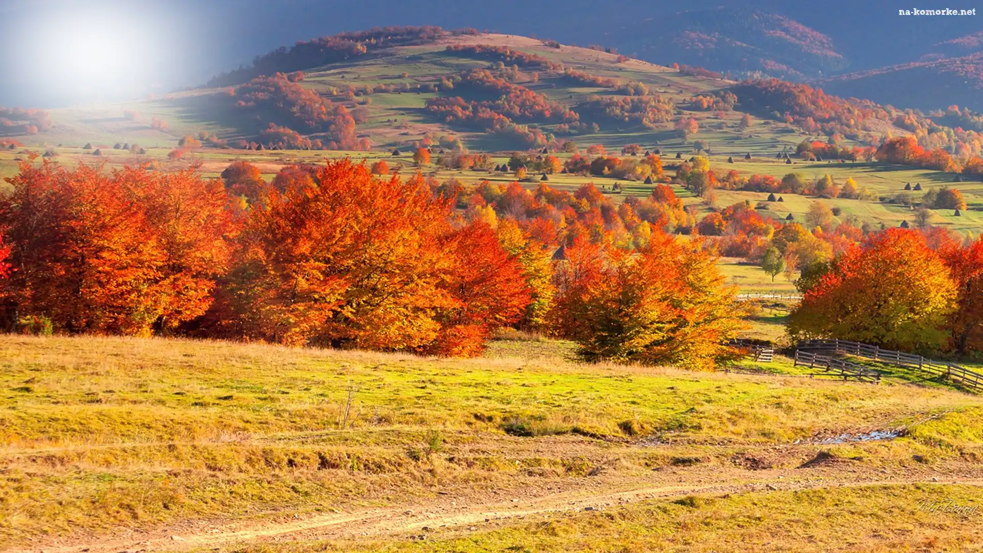 Góry, Jesień, Pola, Drzewa