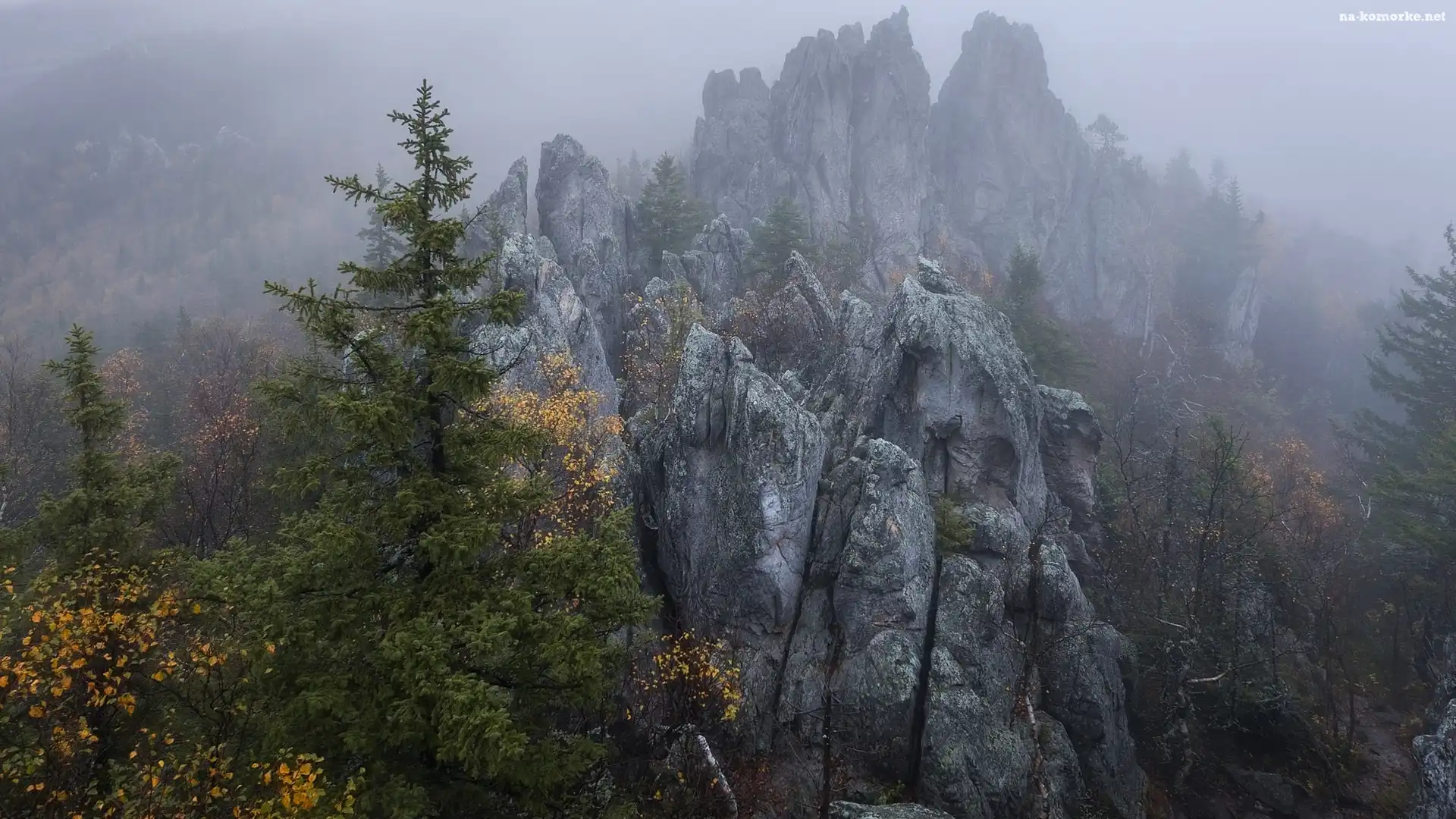 Góry, Mgła, Skały, Drzewa
