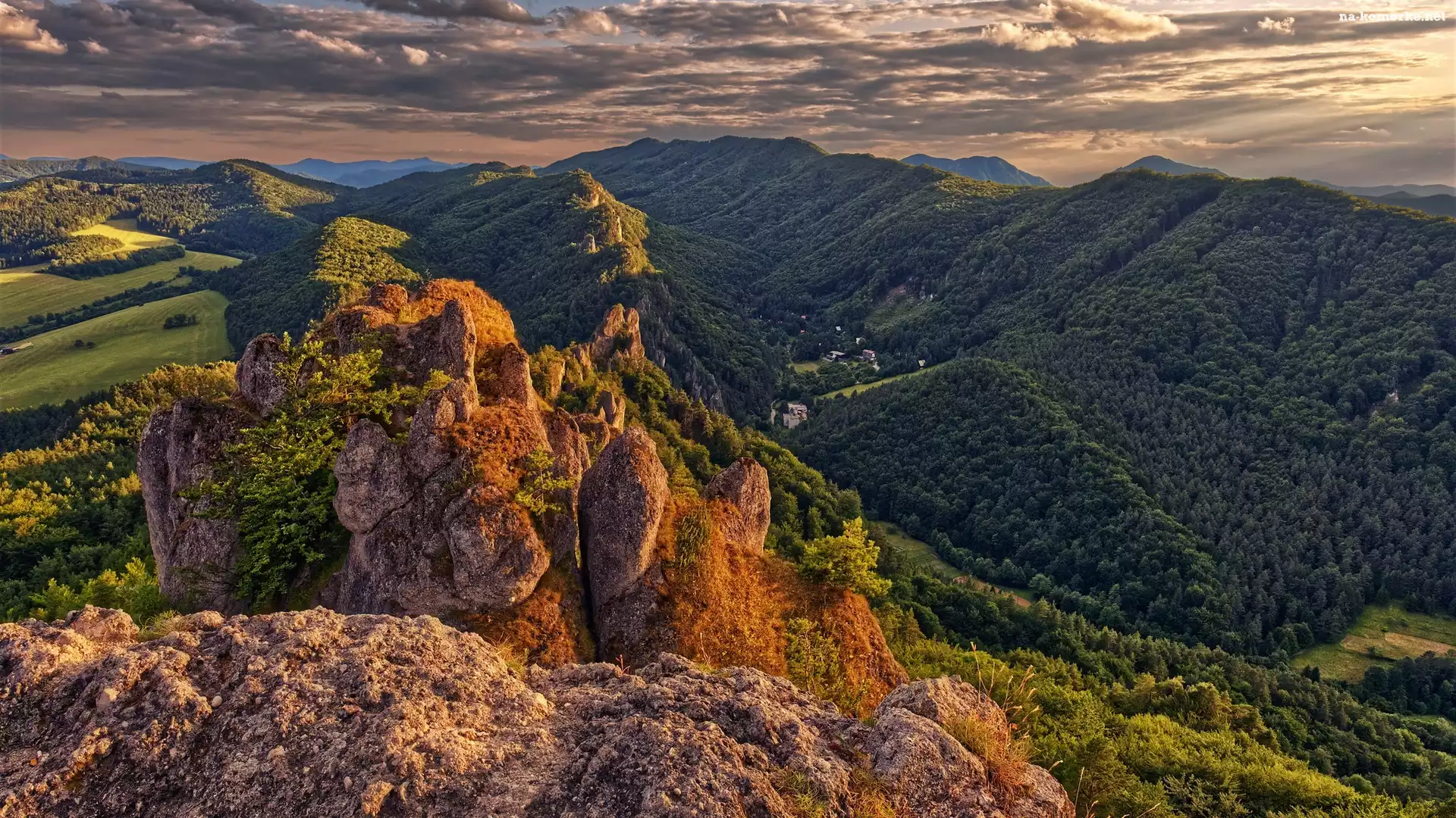 Słowacja, Góry Strażowskie, Karpaty Zachodnie, Skały, Drzewa