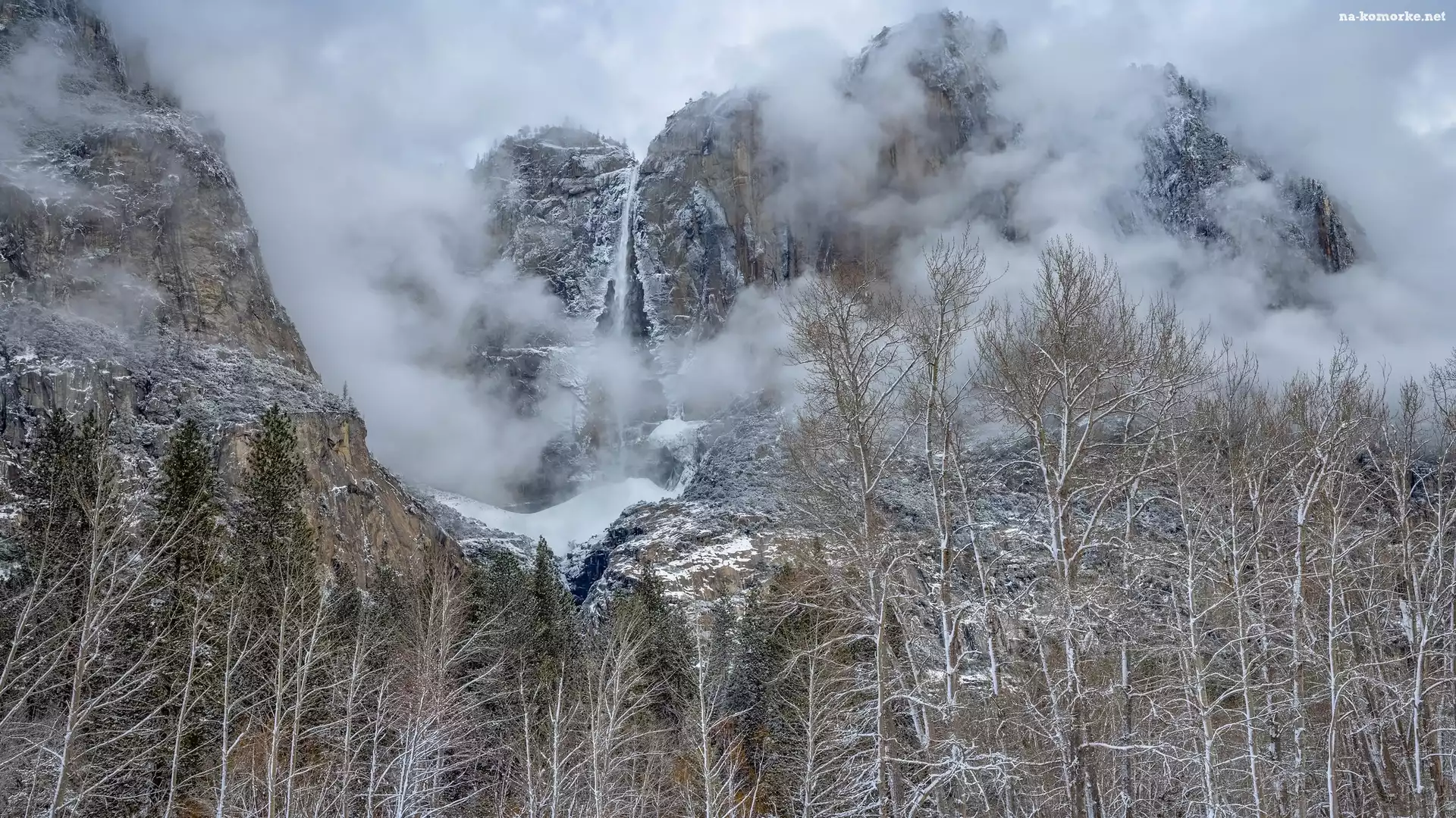 Góry, Park Narodowy Yosemite, Drzewa, Mgła, Stany Zjednoczone, Kalifornia