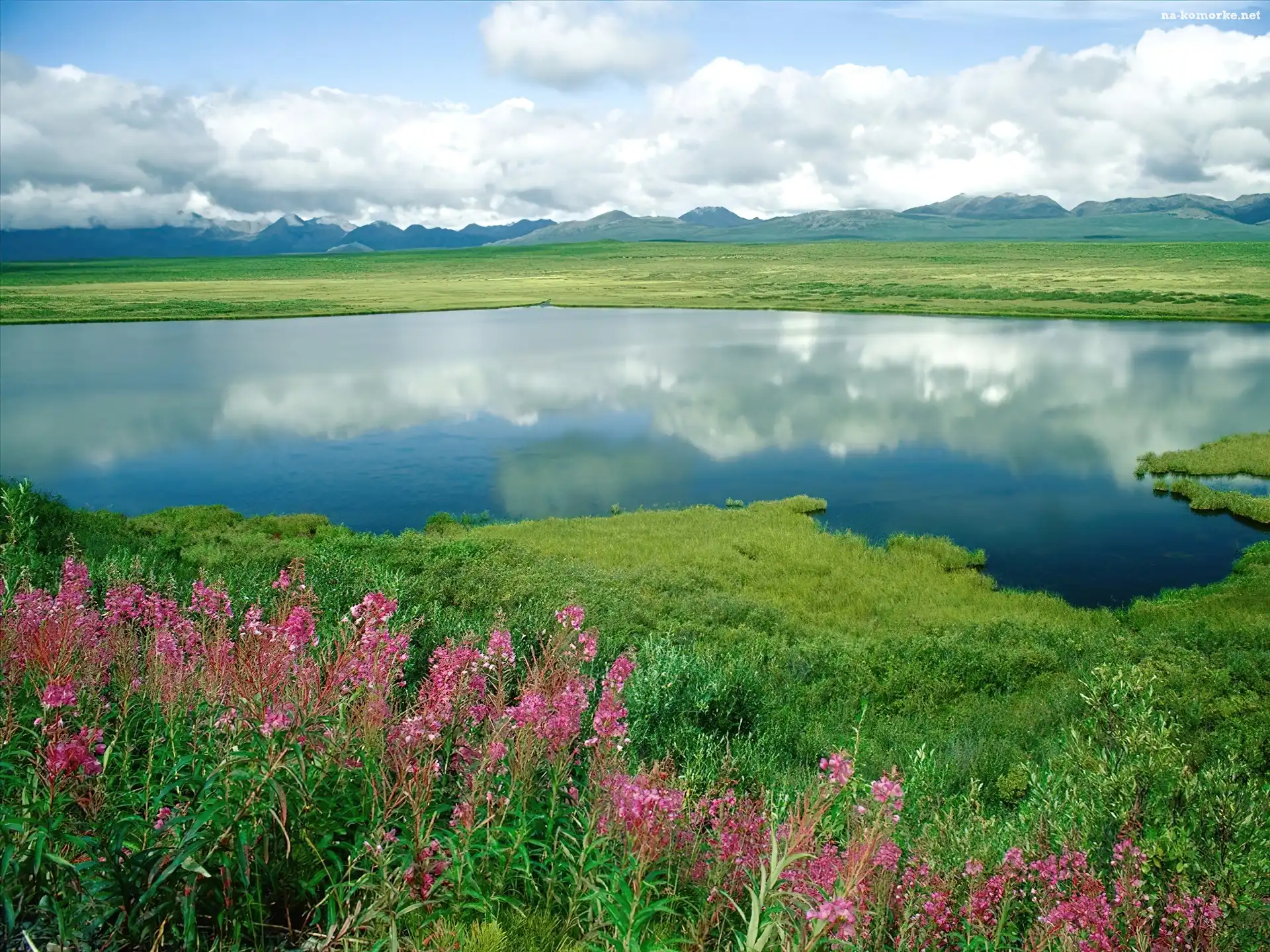 Góry, Alaska, Woda, Trawa, Kwiaty