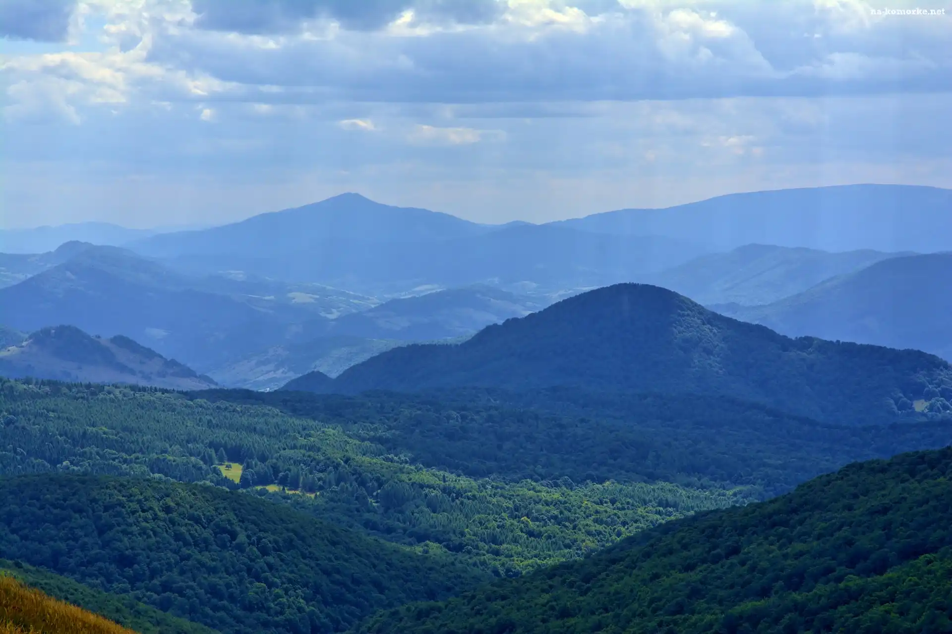Wzgórza, Góry, Bieszczady, Polska, Góra Tarnica, Lasy