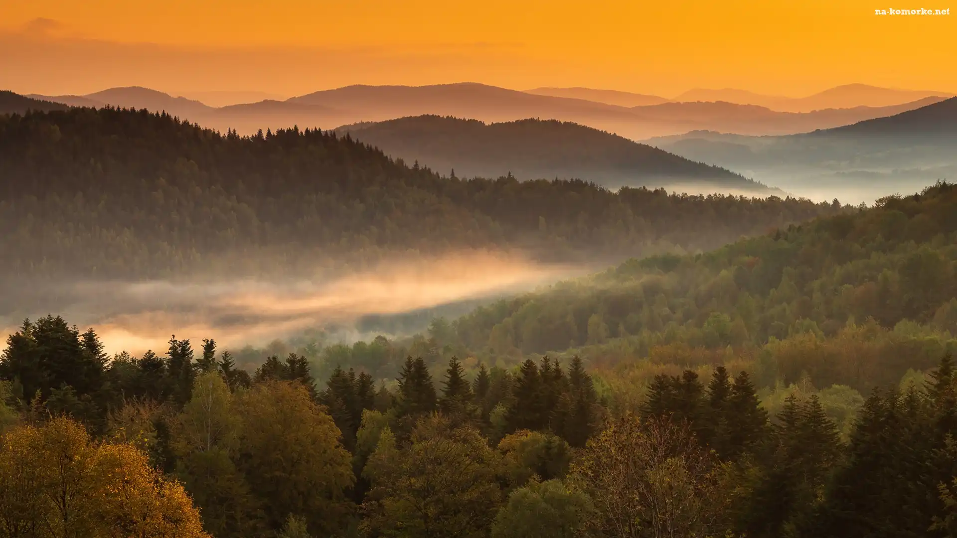 Góry, Mgła, Wzgórza, Lasy