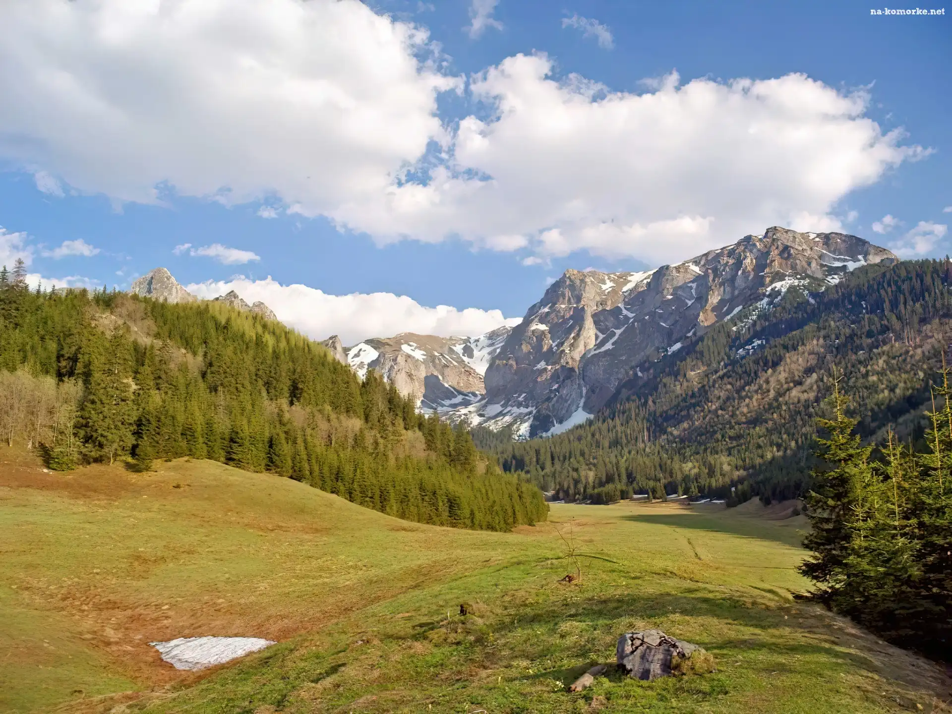 Zakopane, Góry, Łąka