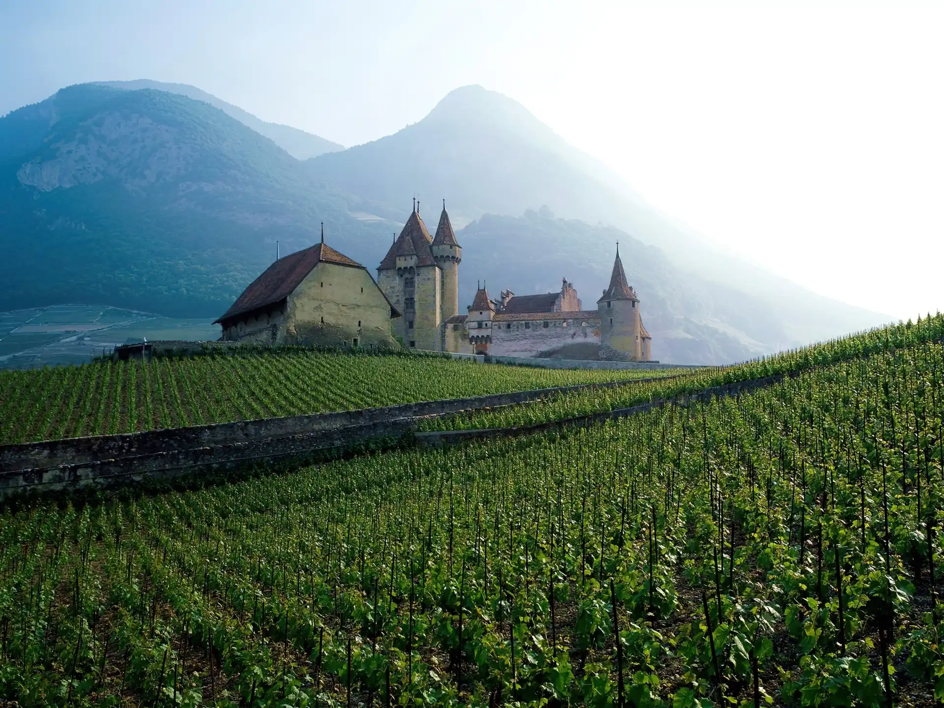 Góry, Francja, Zamek, Winnica