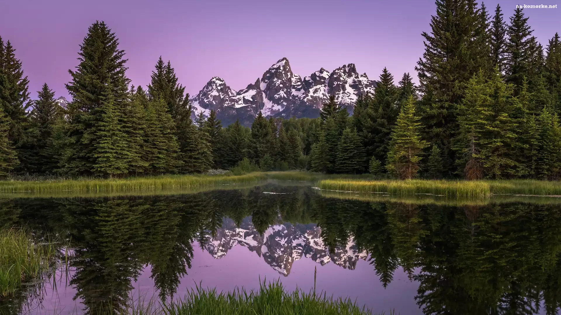 Góry, Park Narodowy Grand Teton, Drzewa, Teton Range, Stany Zjednoczone, Rzeka Snake River, Stan Wyoming, Las, Odbicie