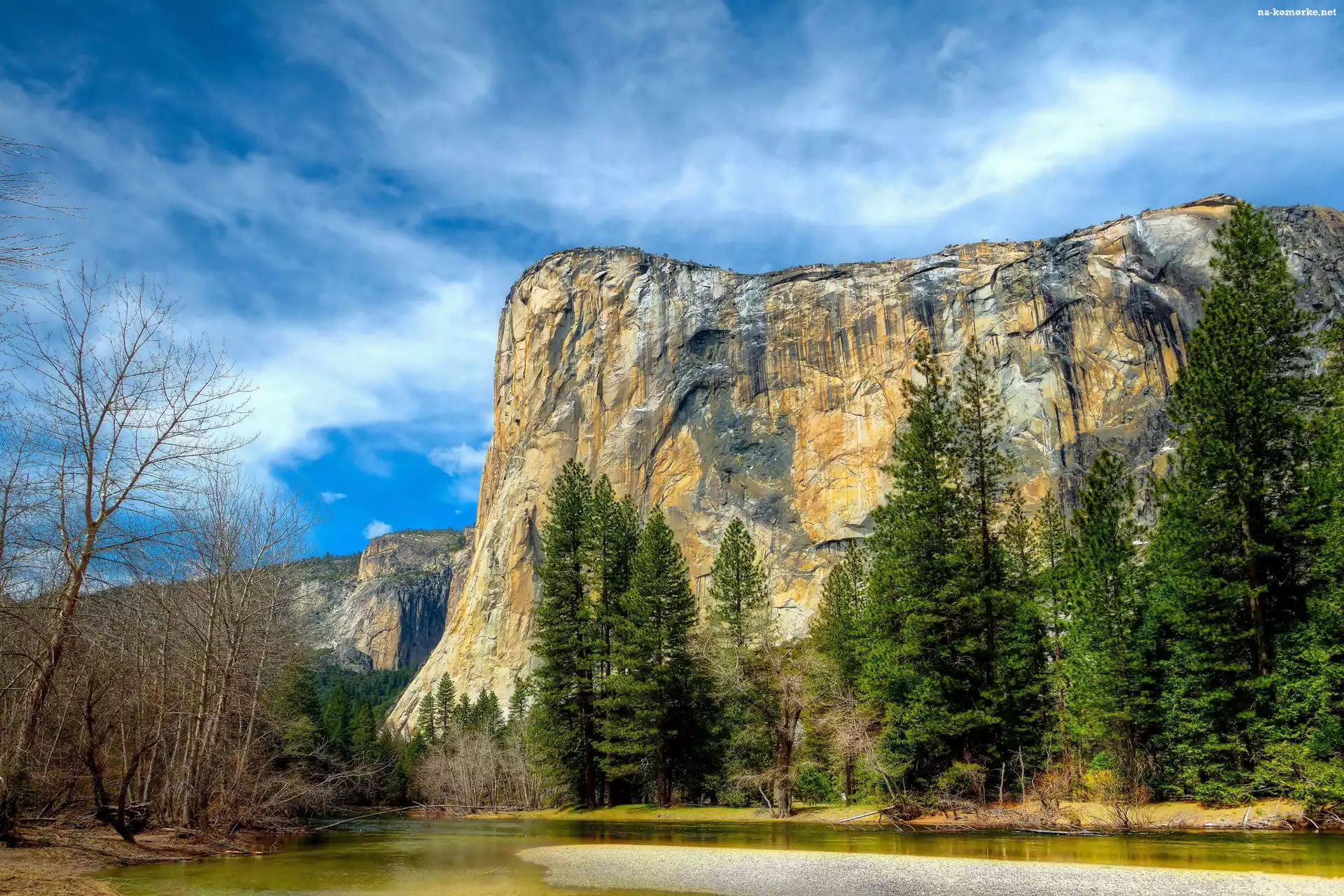 Drzewa, Stany Zjednoczone, Stan Kalifornia, Park Narodowy Yosemite, Góry