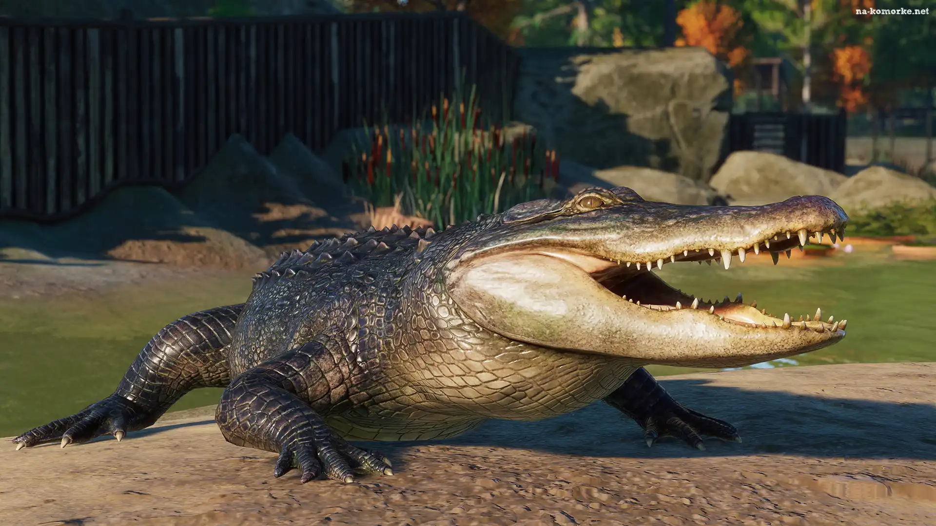 Aligator, Planet Zoo, Gra
