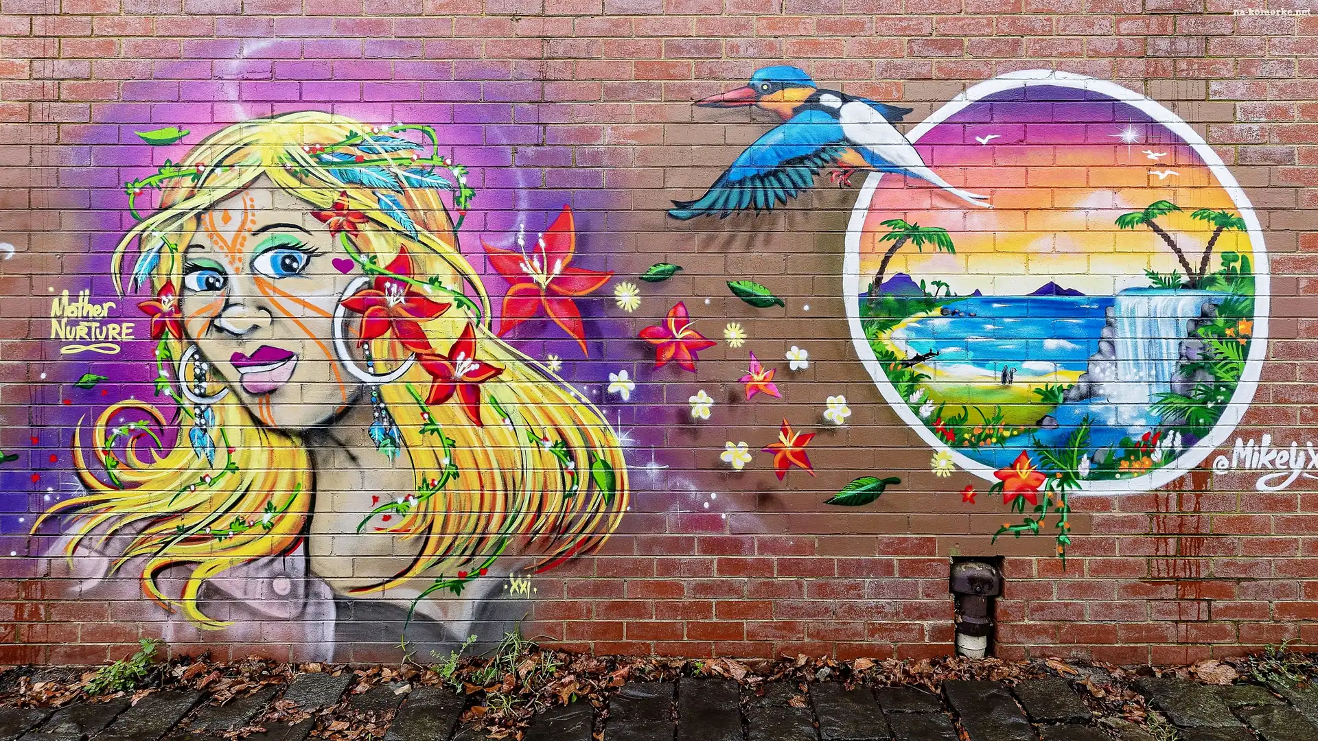 Graffiti, Ptak, Åšciana, Kobieta