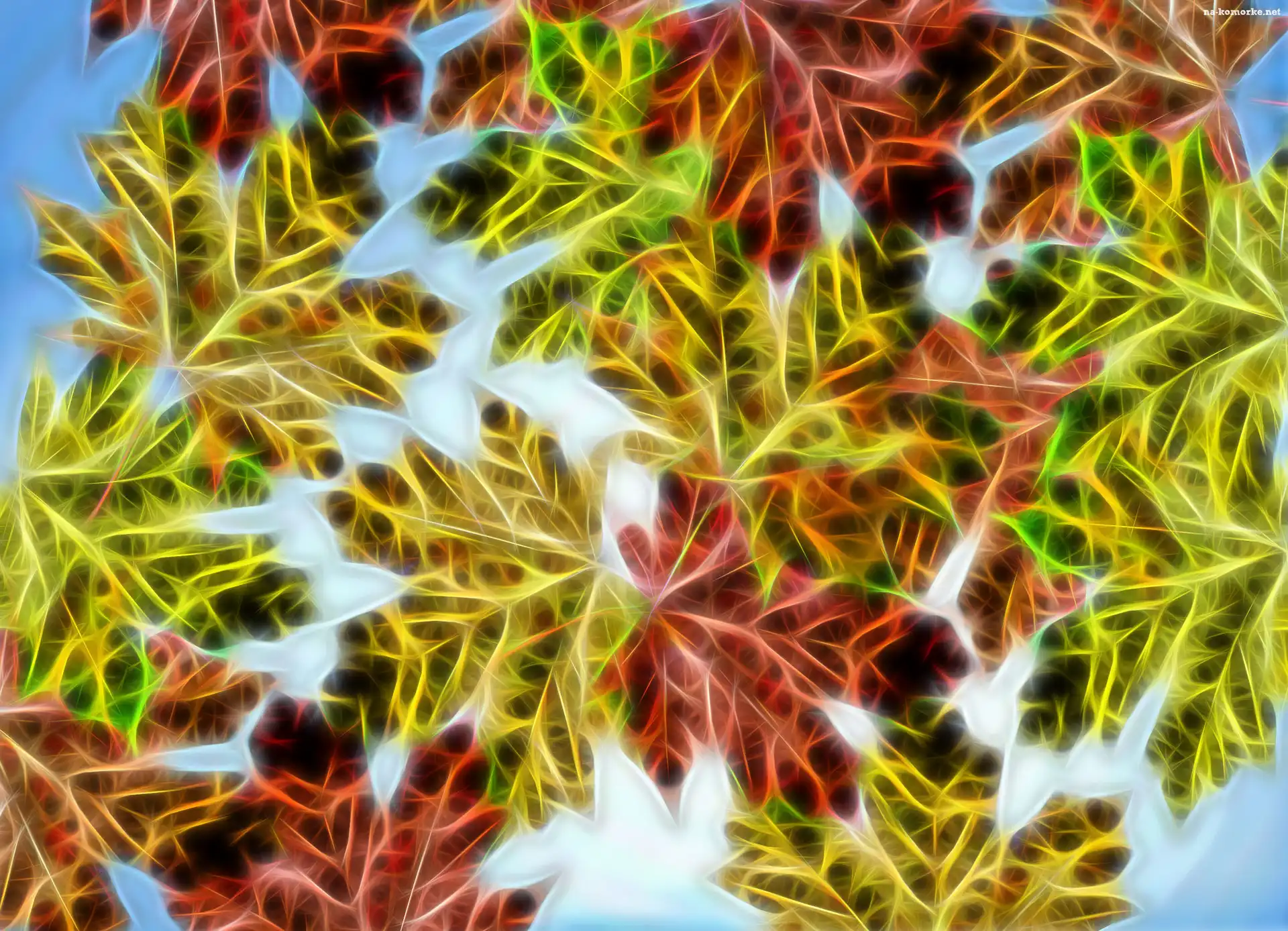 Grafika, Fractalius, 2D, Liście