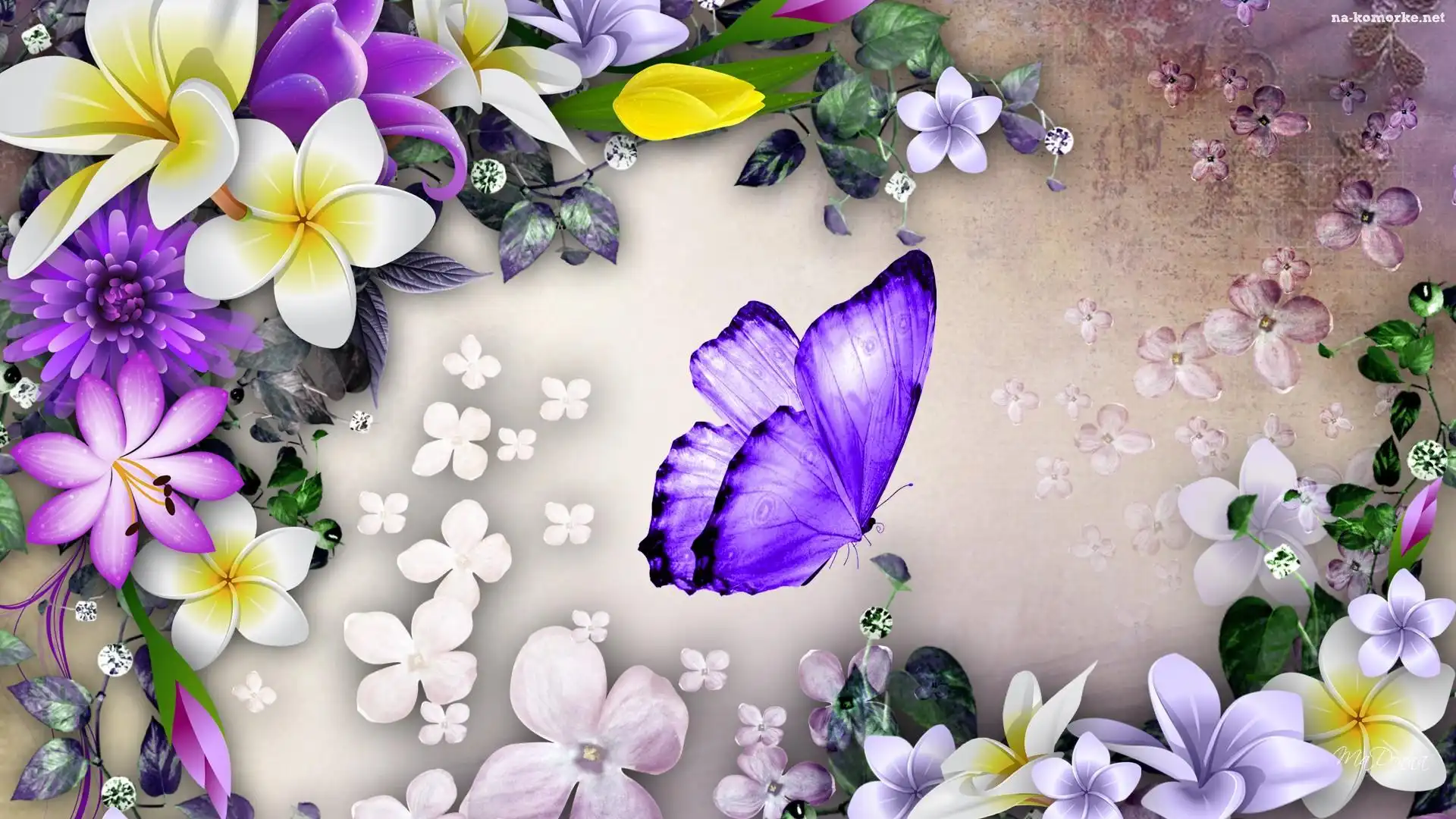 Grafika, Motyl, 2D, Kwiaty