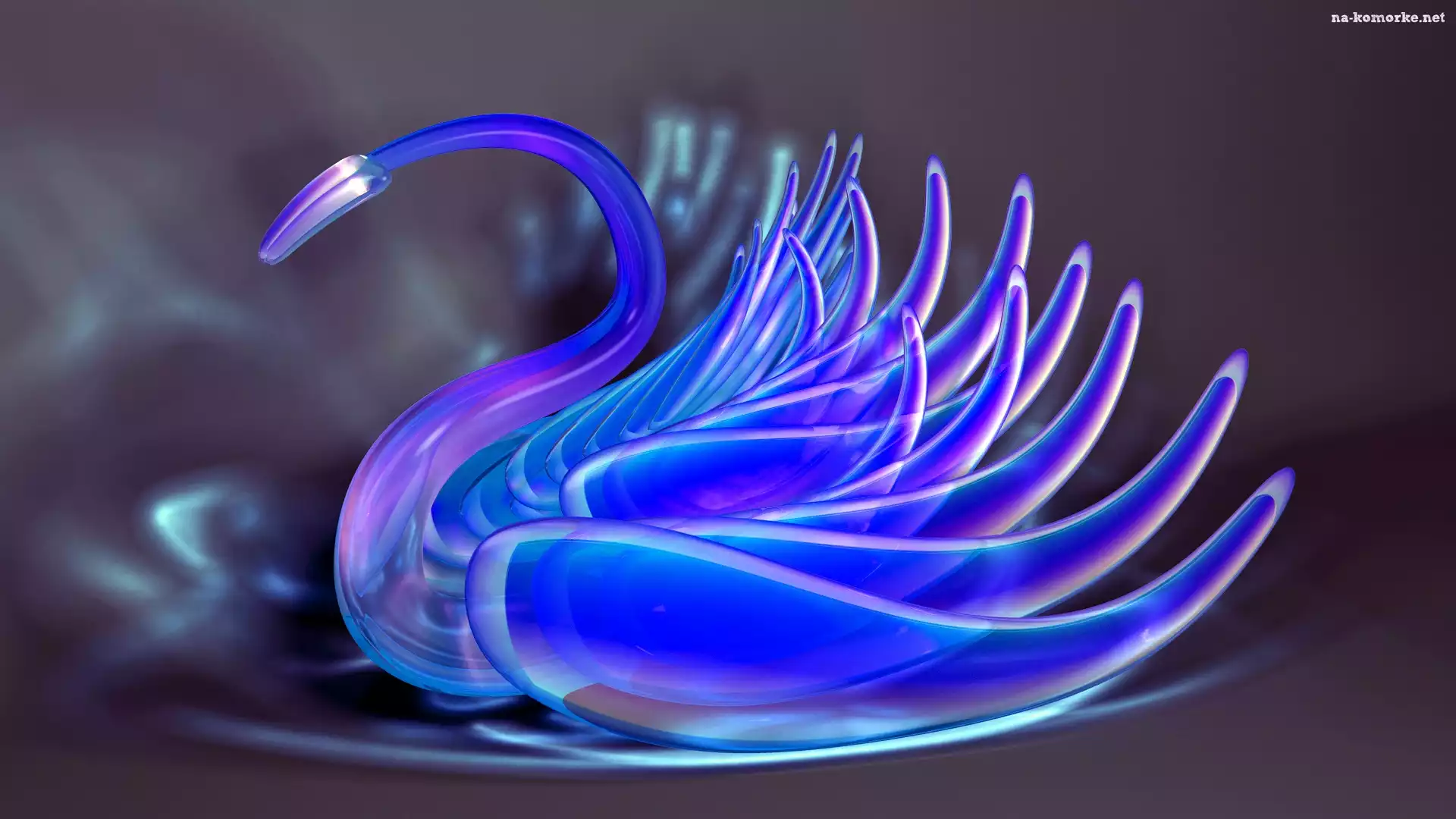 Łabądź, Grafika, 3D