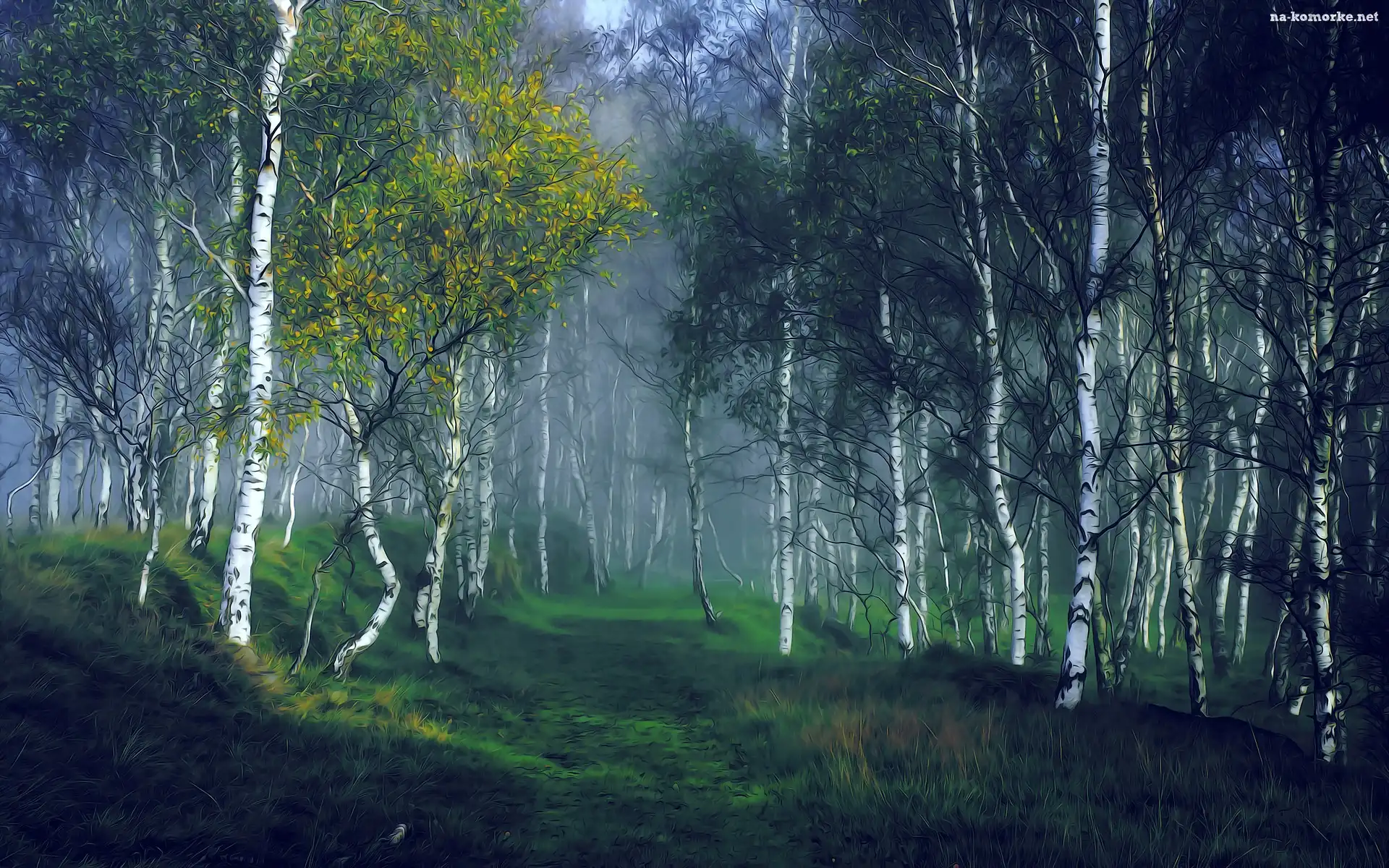 Grafika, Las, Drzewa, Brzozy, Mgła
