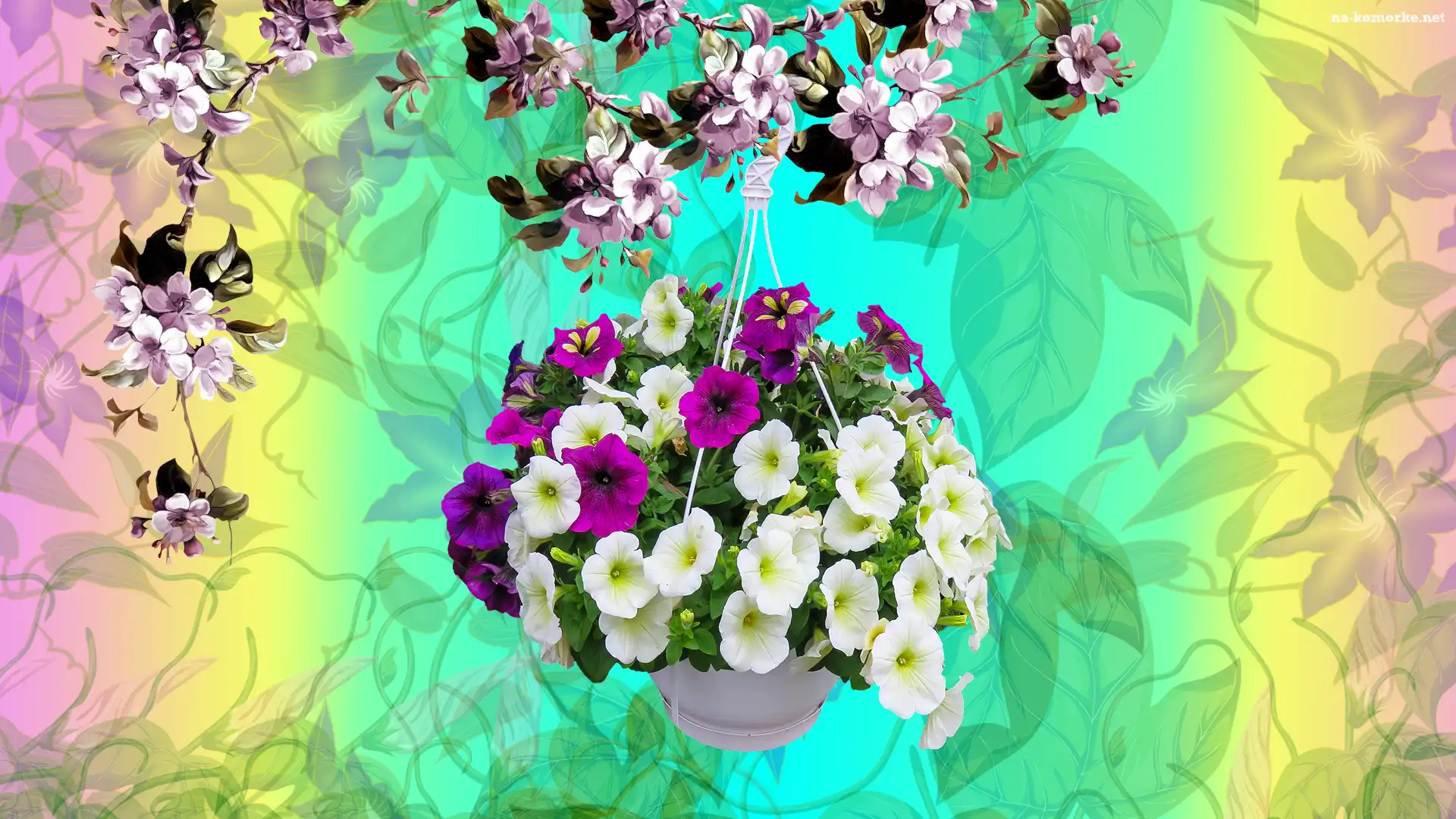 Grafika, Kwiaty, Petunia ogrodowa, Gałązki, Doniczka