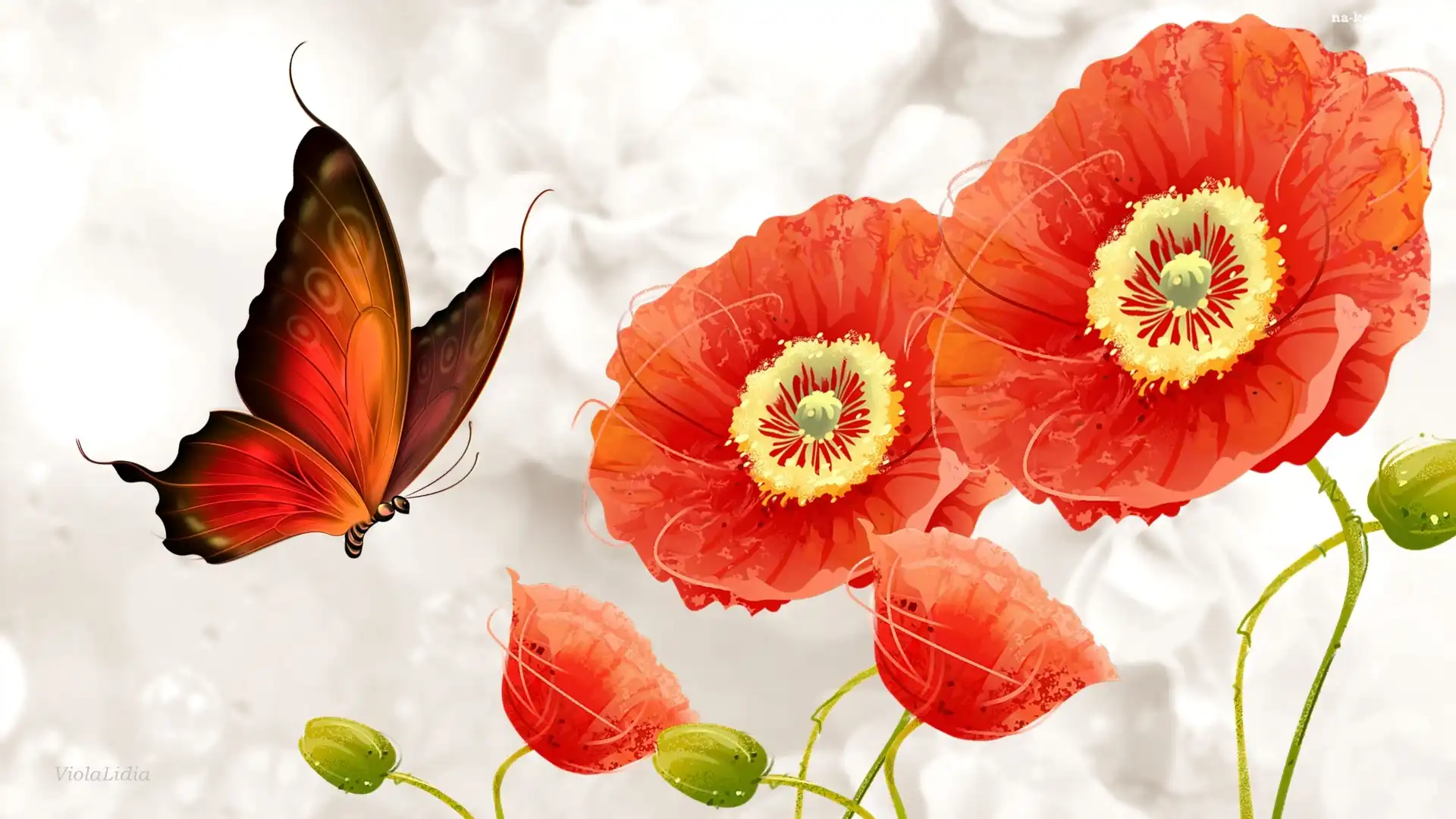 Grafika, Motyl, Kwiaty, Maki