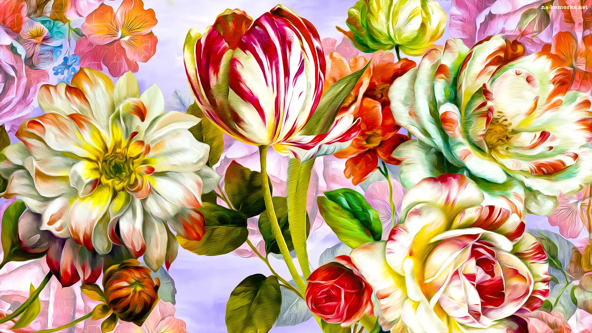 Grafika, Kwiaty, Kolorowe, Róże, Tulipan