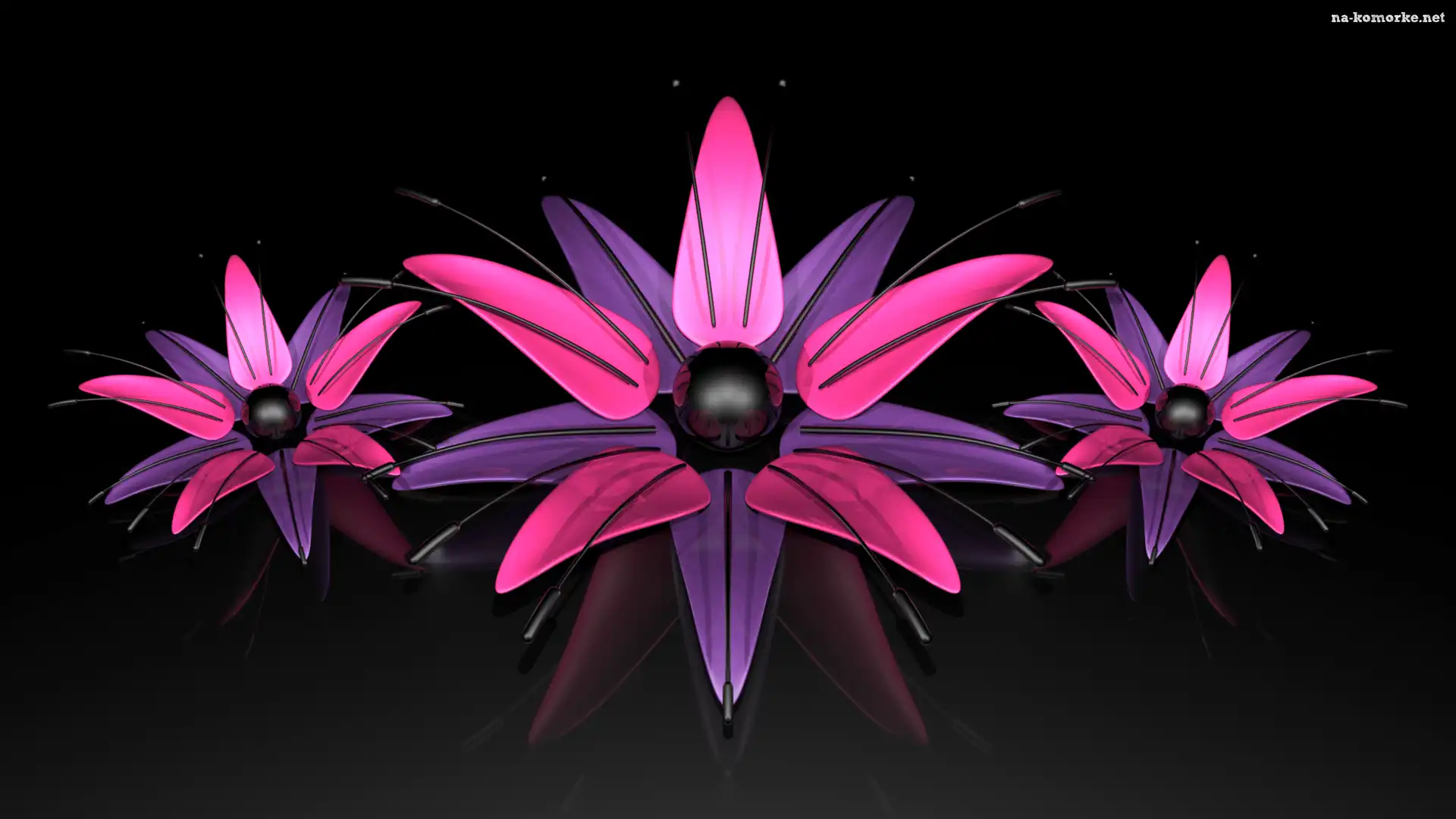 Grafika 3D, Trzy, Kwiaty