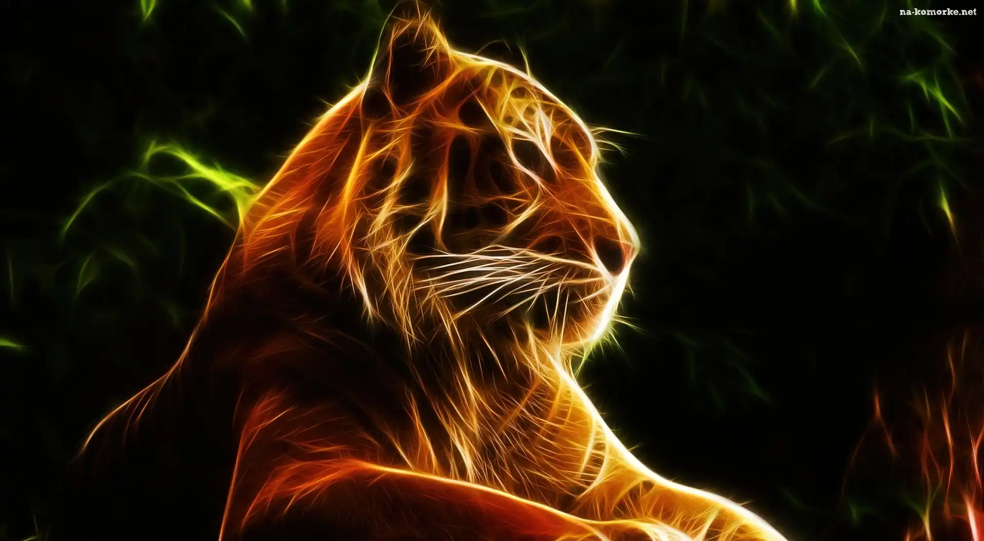 Tygrys, Grafika, Fractalius
