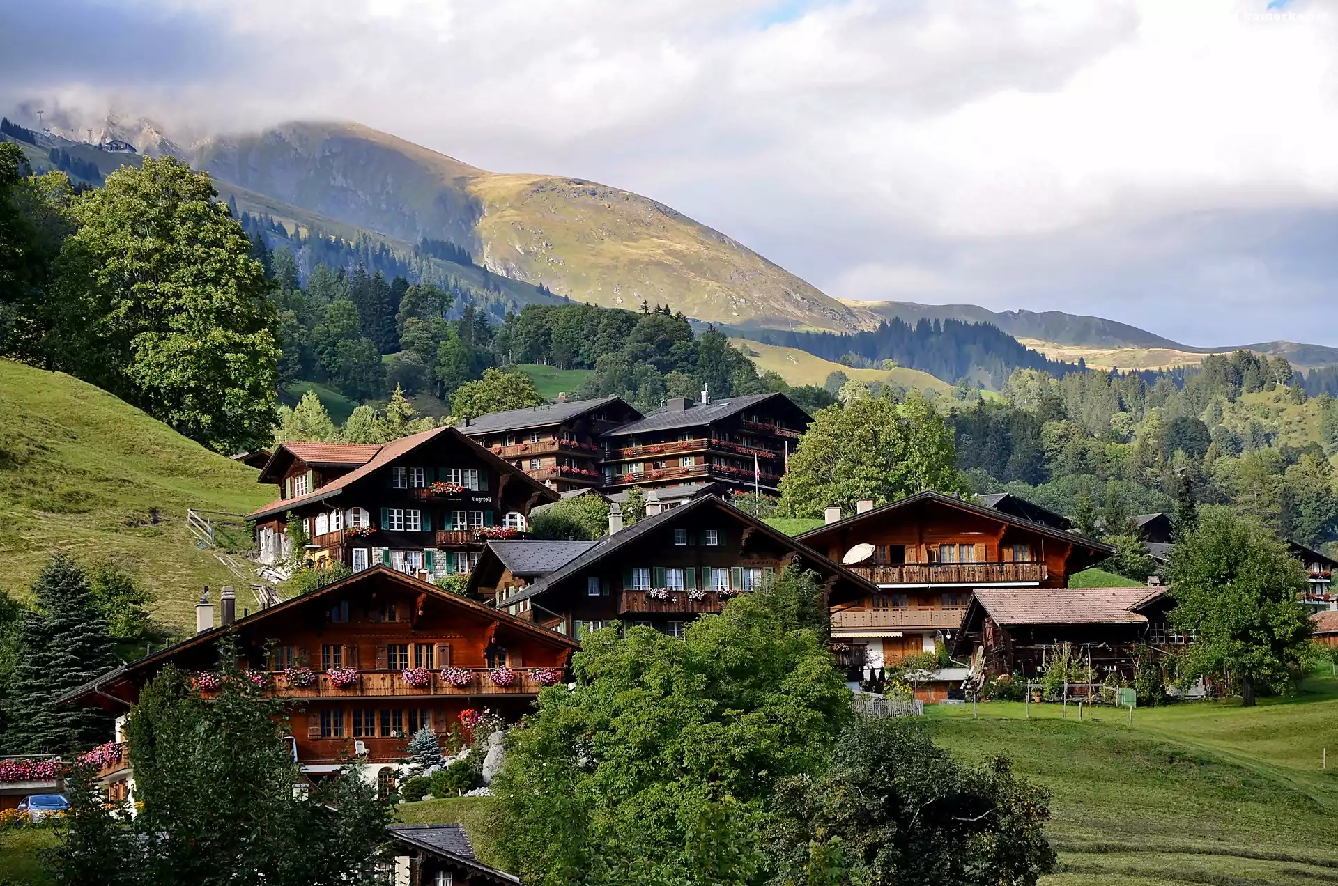 Grindelwald, Alpy, Lasy, Łąki, Wioska