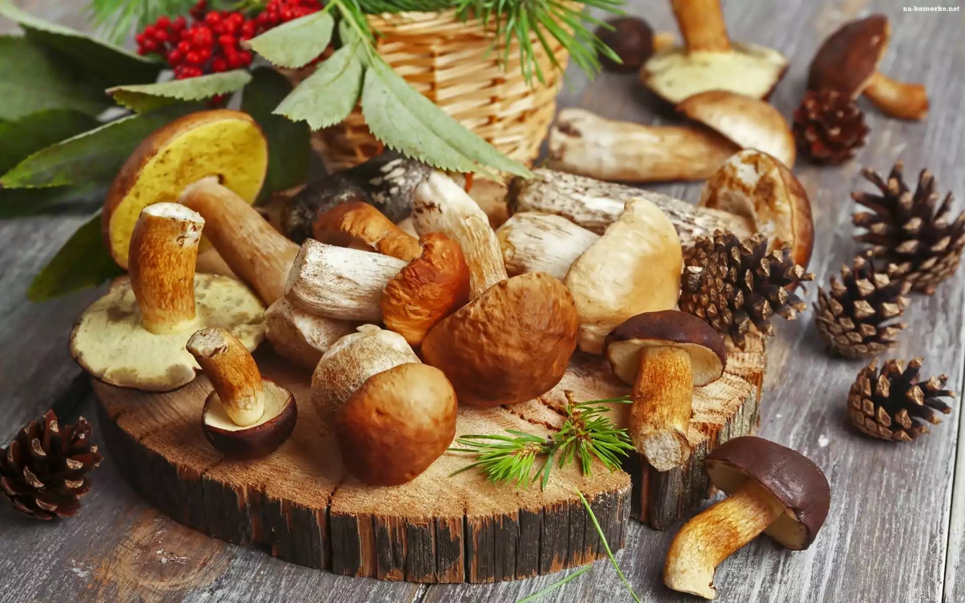 Grzyby, Jarzębina, Szyszki, Kosz