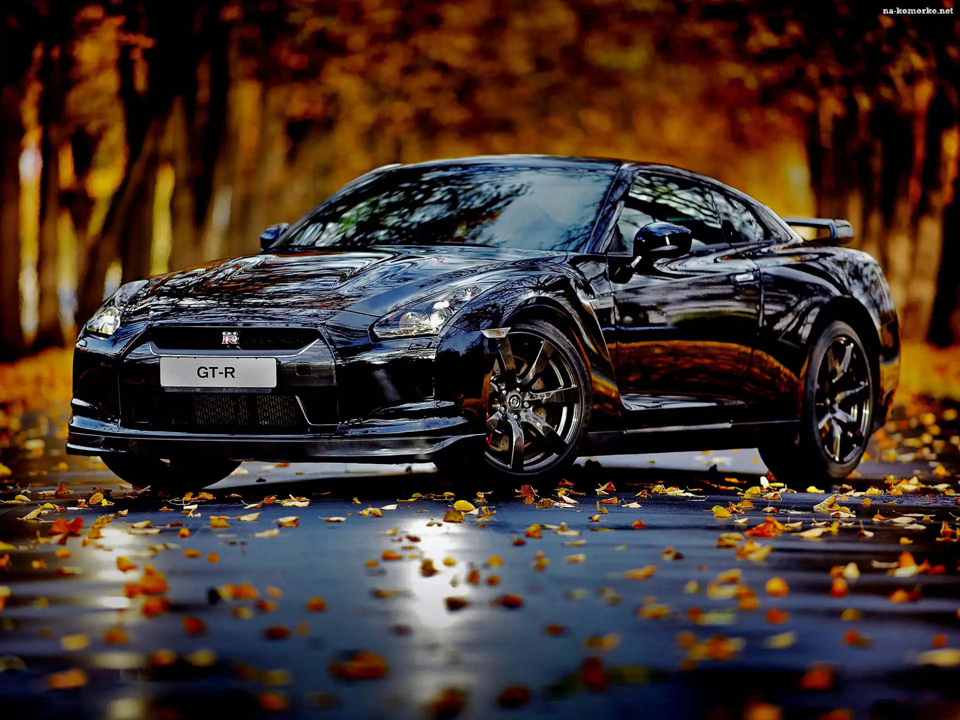 GTR, Samochód, Granatowy, Blask, Nissan, Jesień